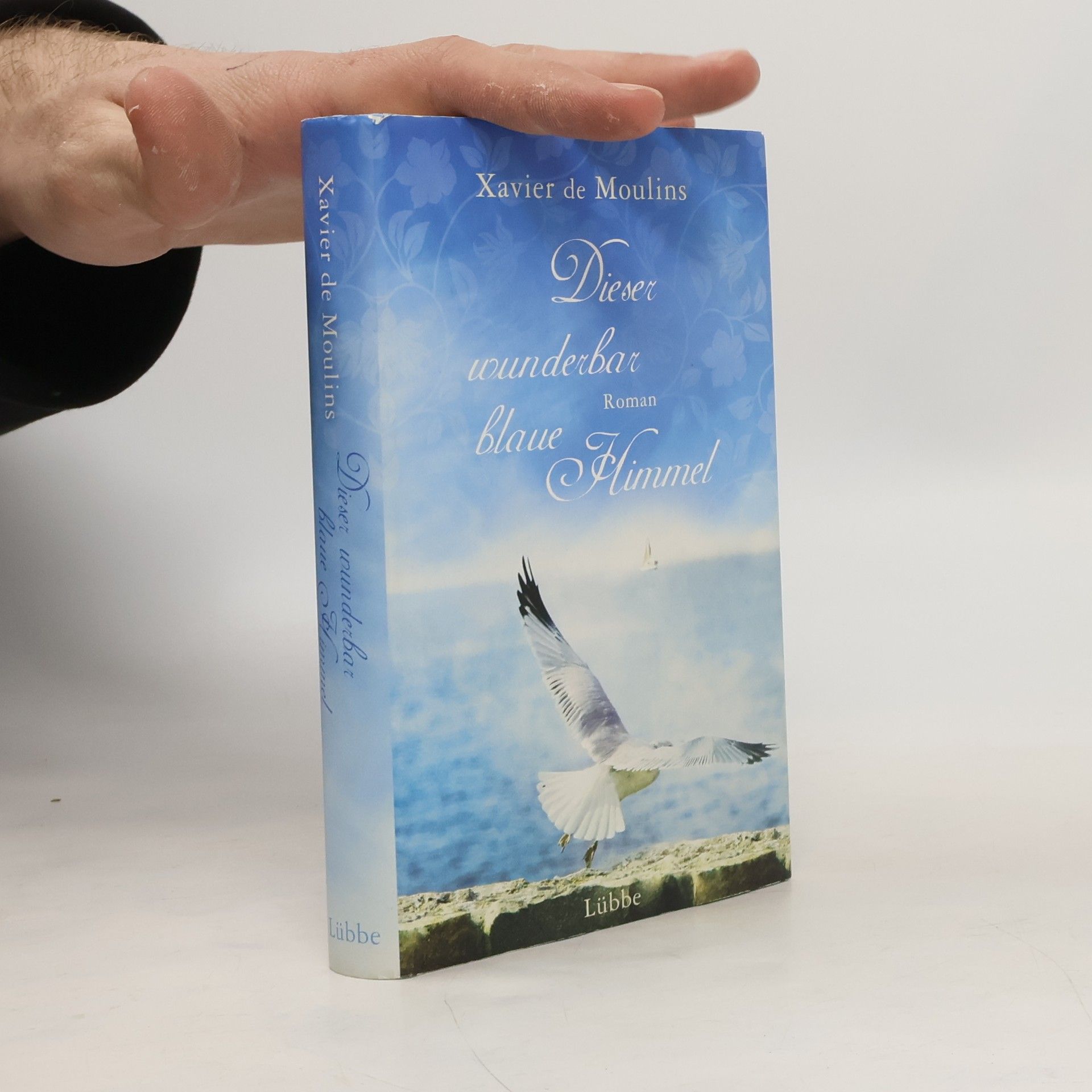 Xavier de Moulins Dieser wunderbar blaue Himmel