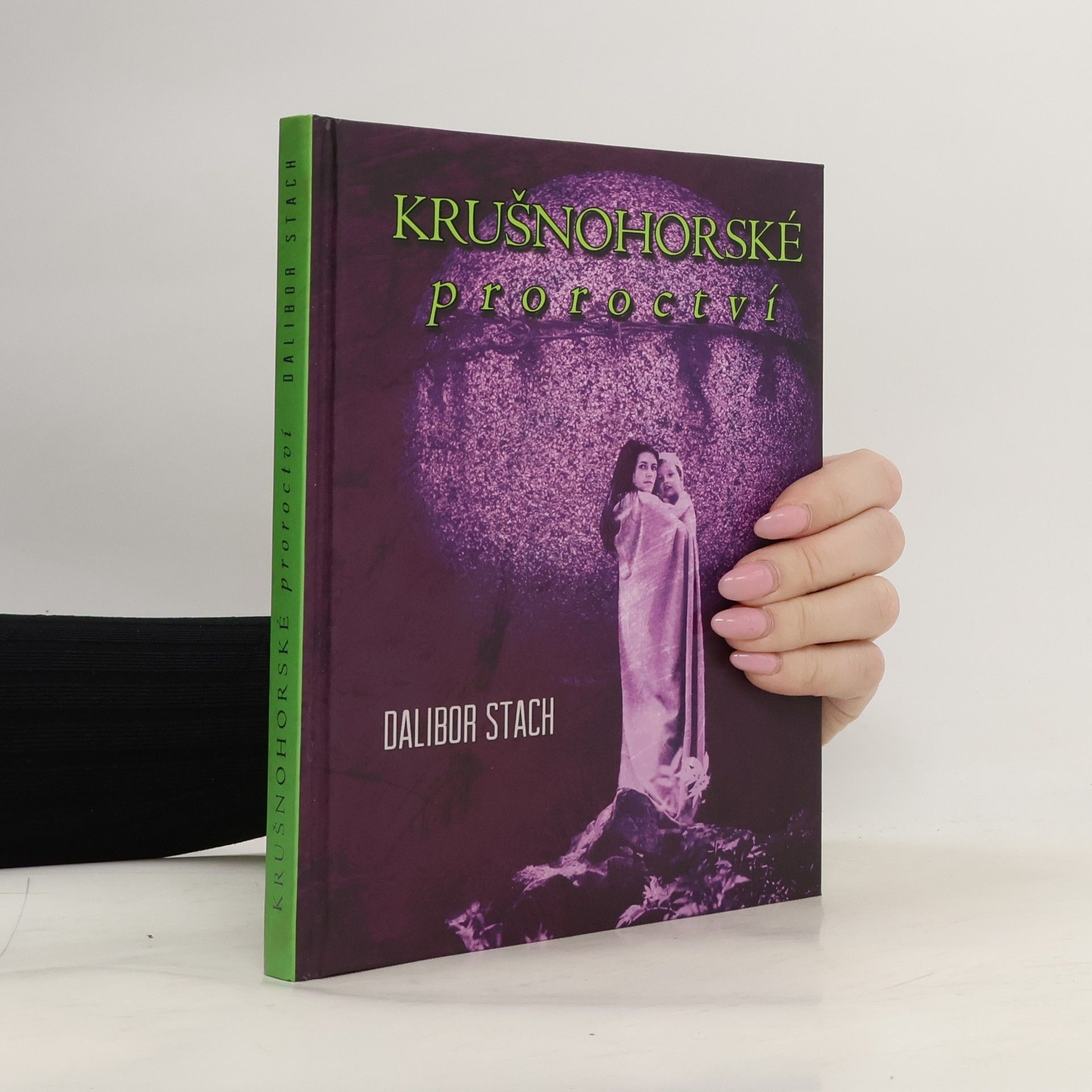 Dalibor Stach Krušnohorské proroctví