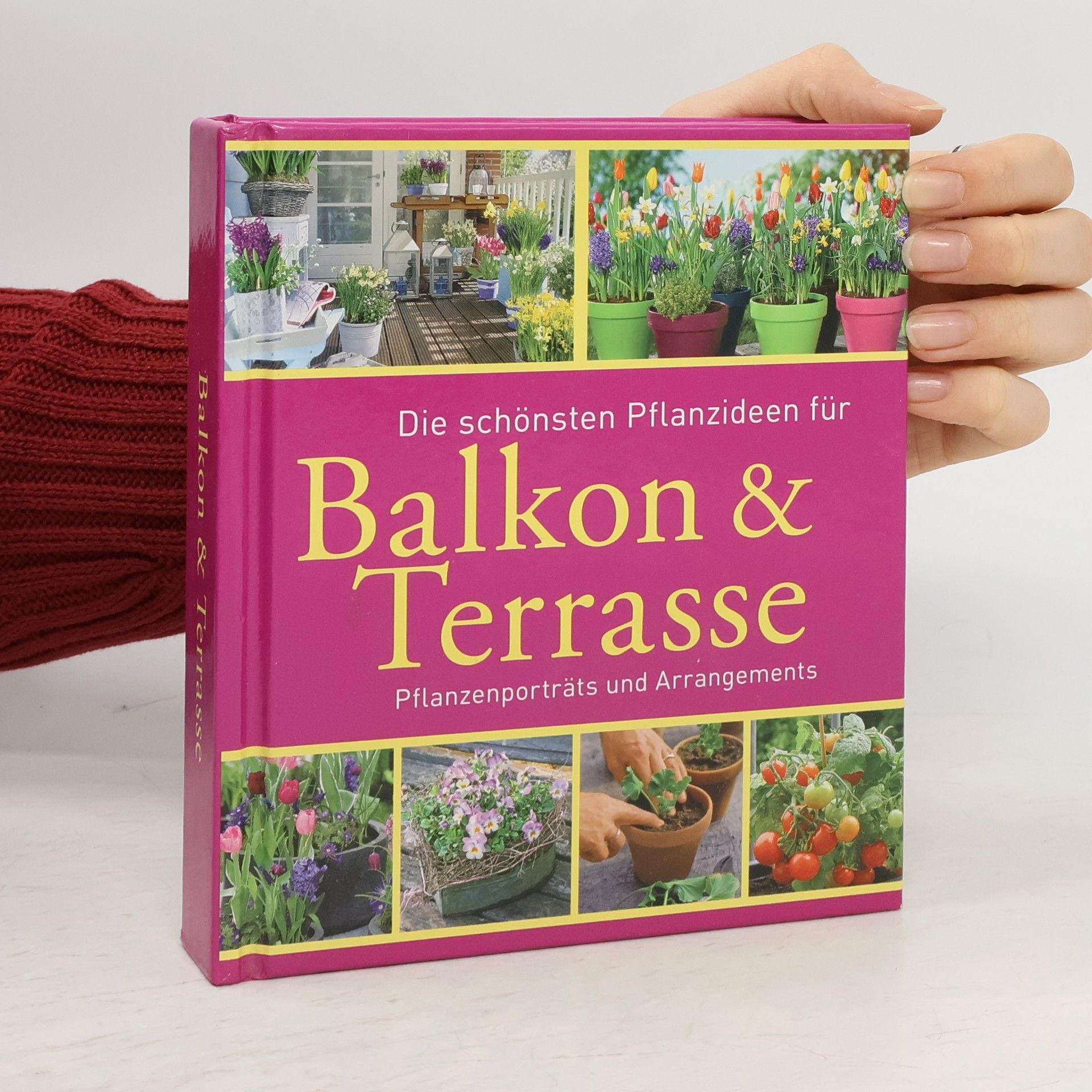 Die schönsten Pflanzideen für Balkon & Terrasse Pflanzenporträts und Arrangements