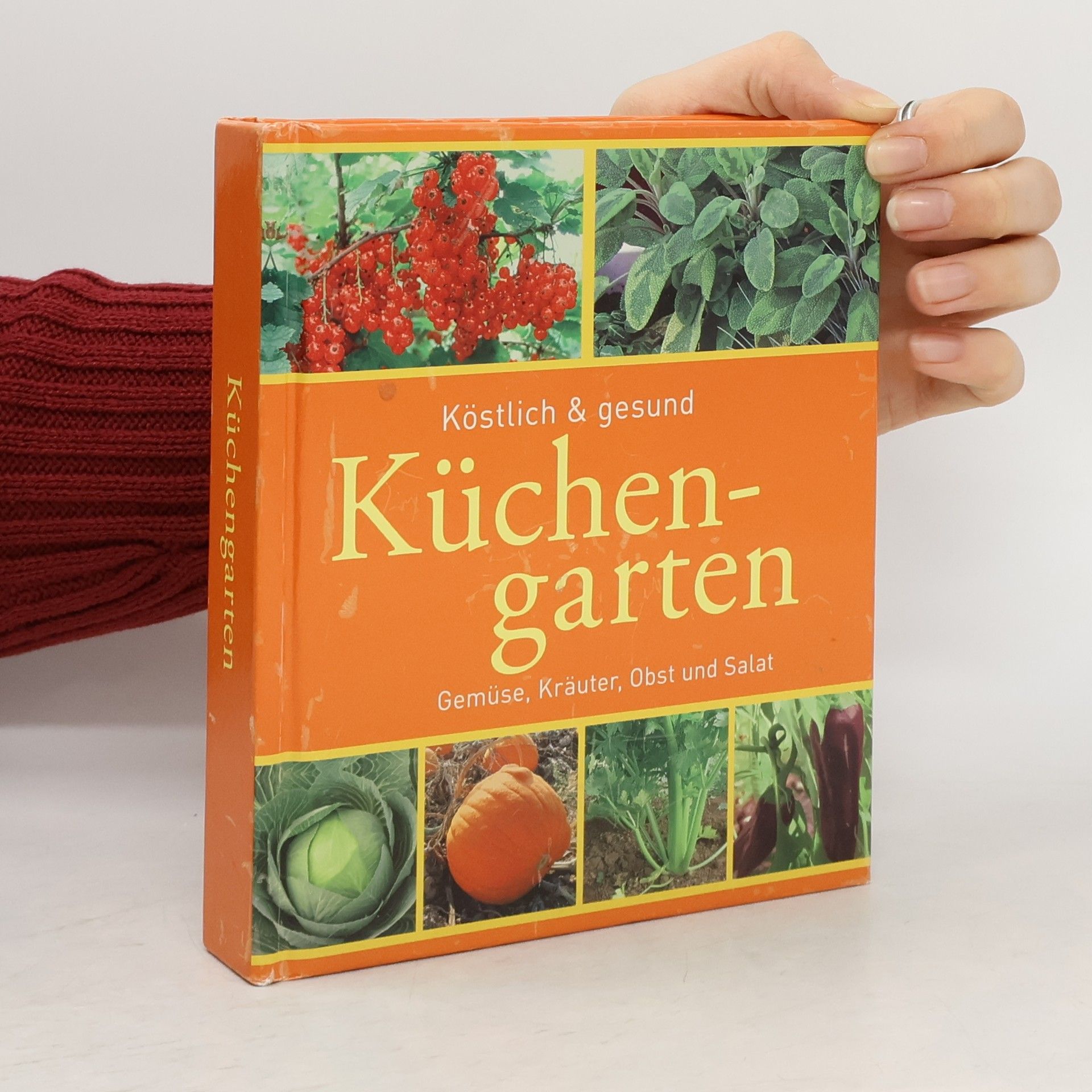 Collectif d'auteurs Ratgeber Küchengarten