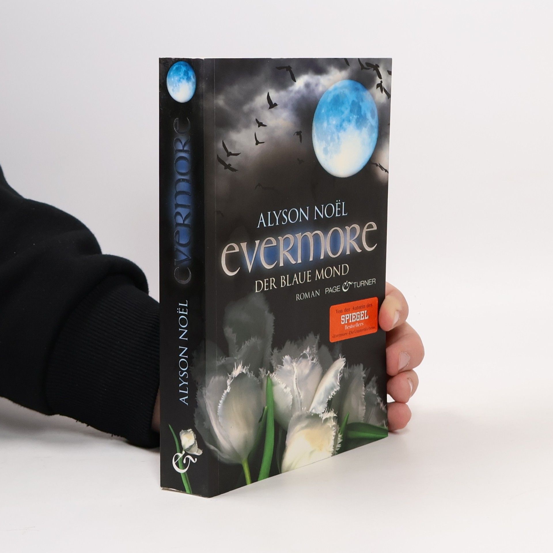 Alyson Noël Evermore: Der blaue Mond