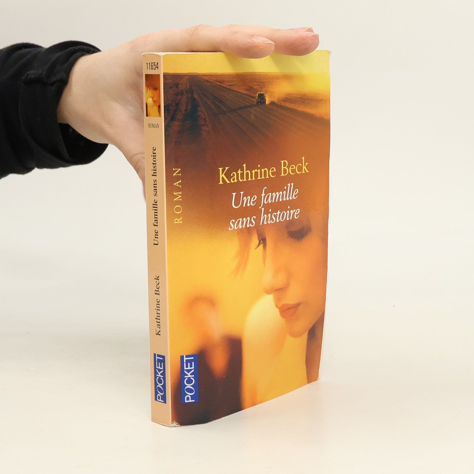 Une famille sans histoire