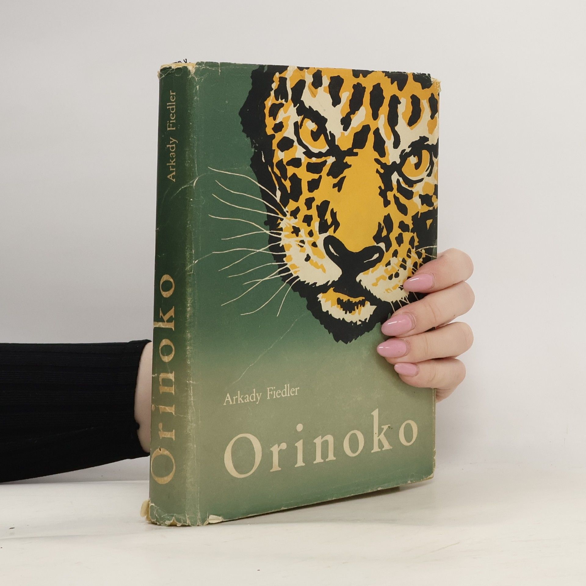 Orinoko