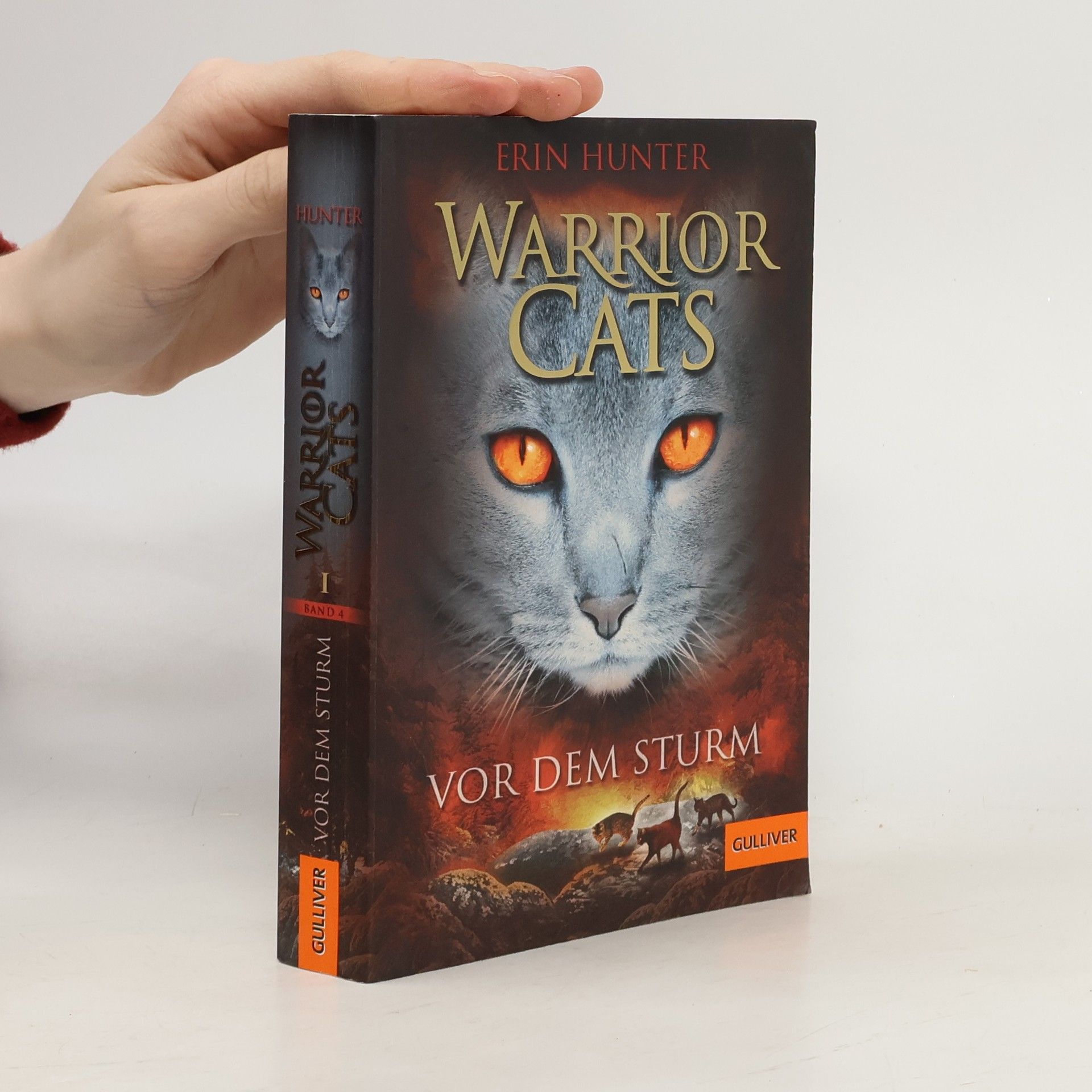 Erin Hunter Warrior Cats. Vor dem Sturm