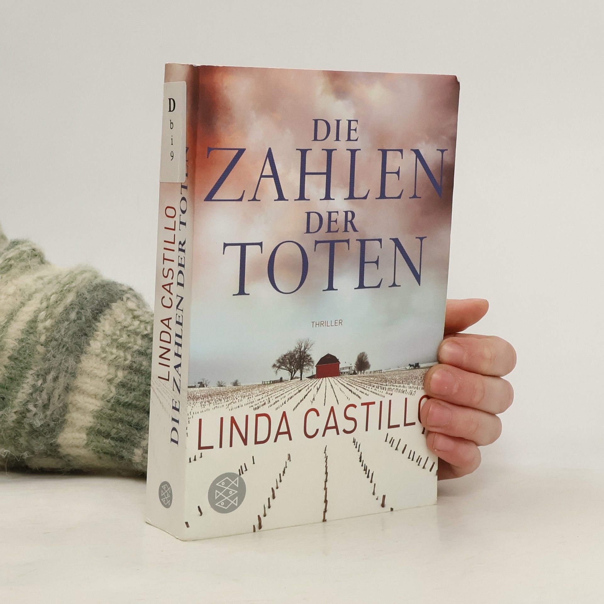 Linda Castillo Die Zahlen der Toten