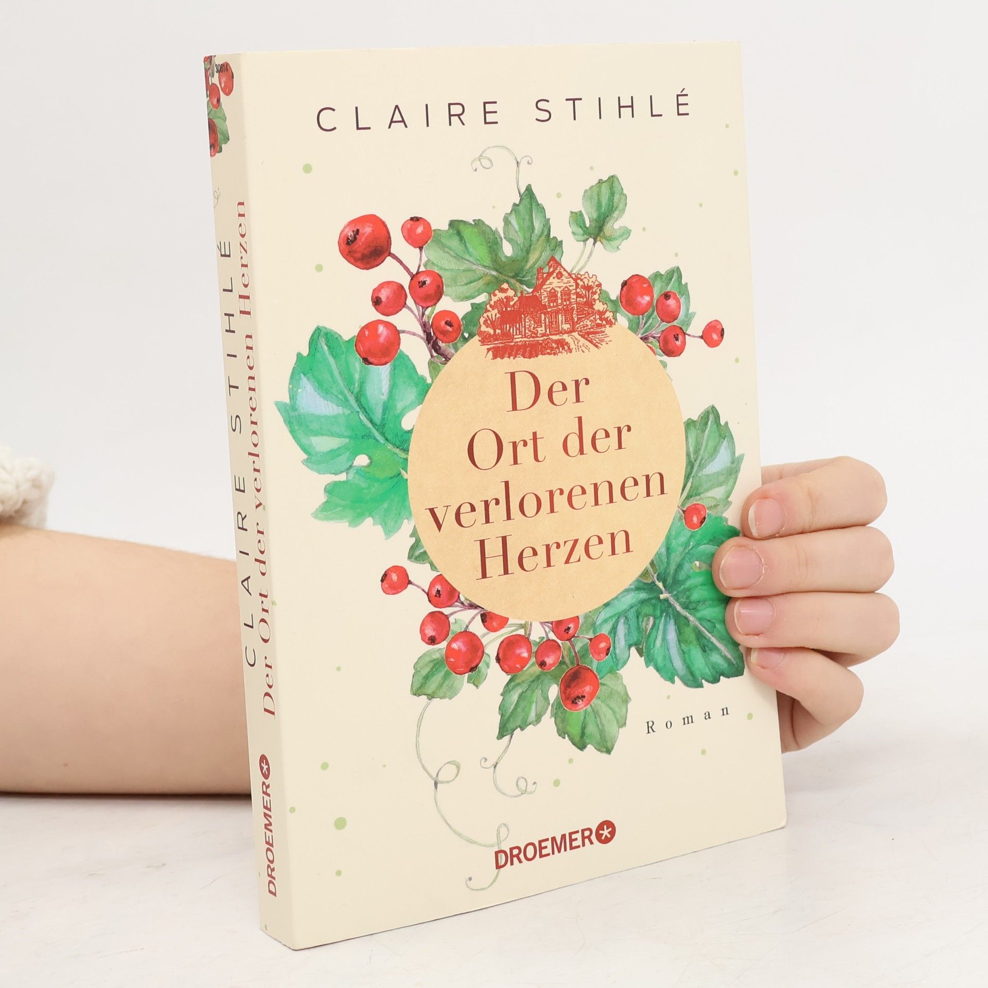 Claire Stihlé Der Ort der verlorenen Herzen