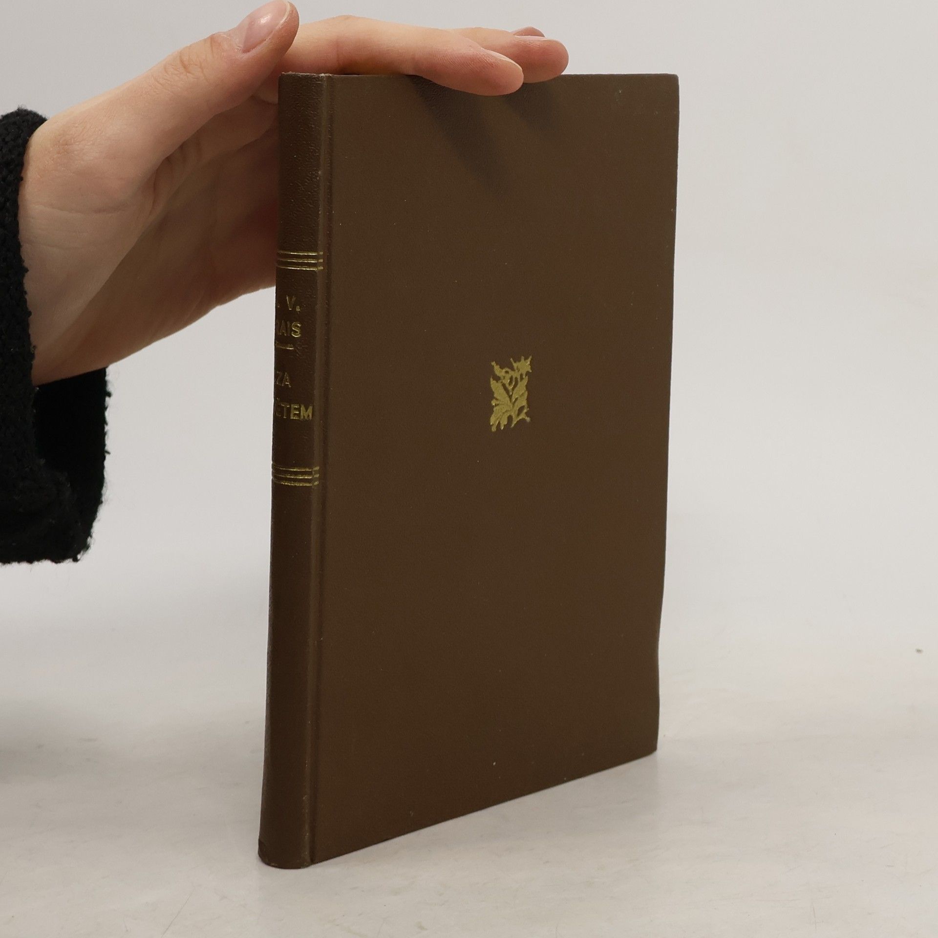 Karel Václav Rais Raisovy spisy VI. Za světem.