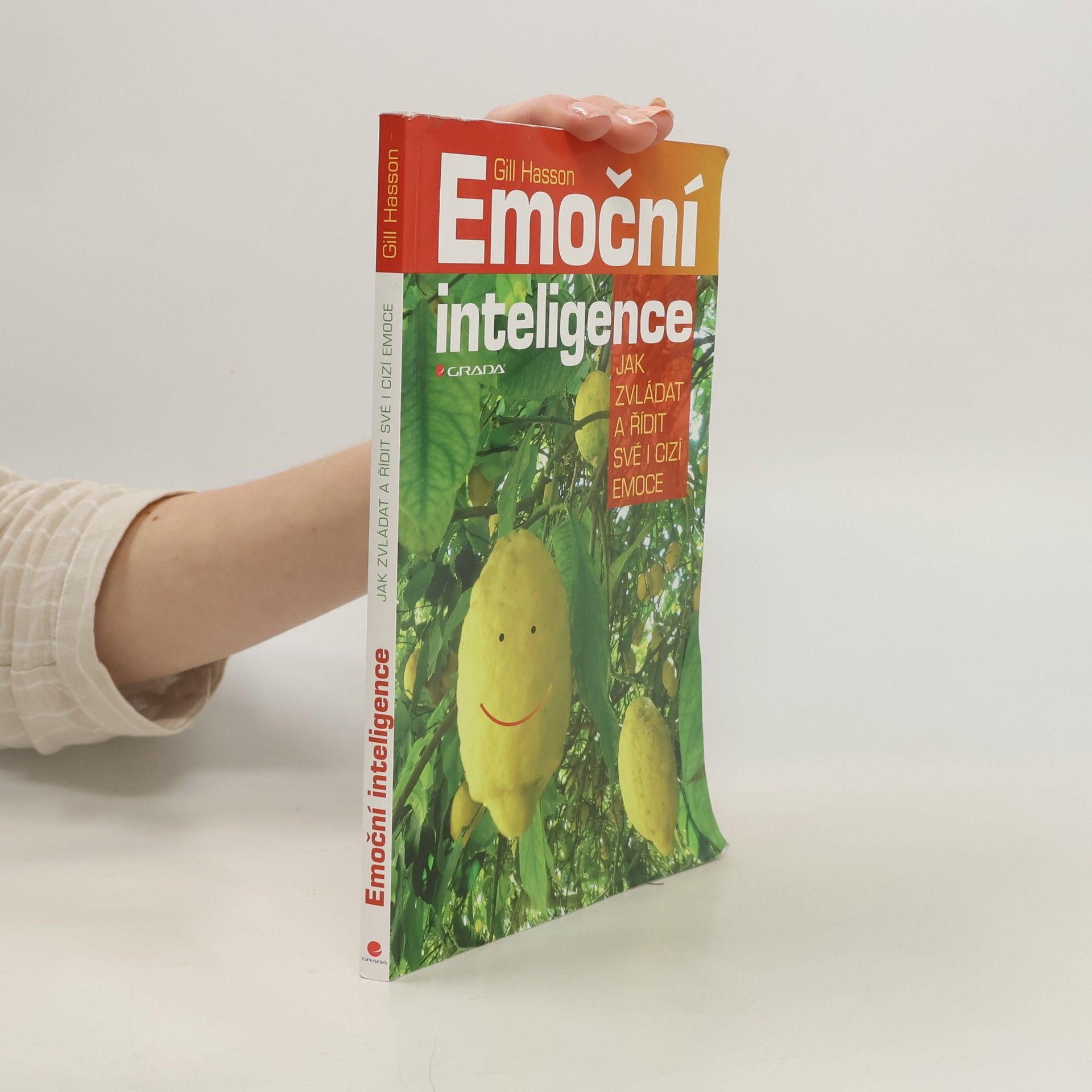 Emoční inteligence