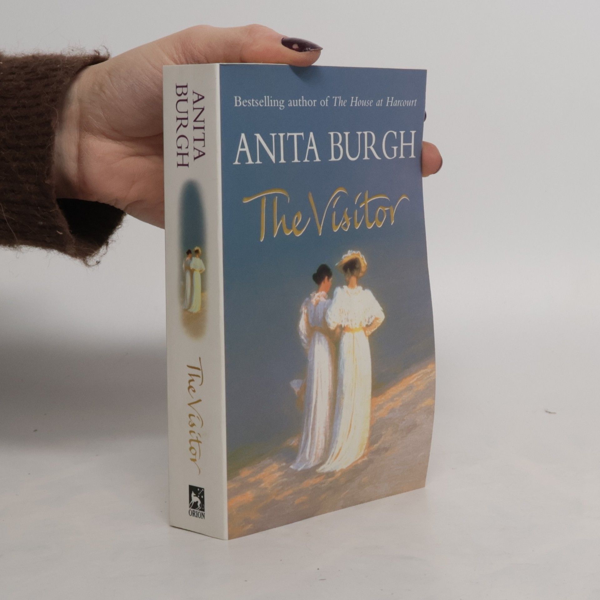 Anita Burgh The Visitor