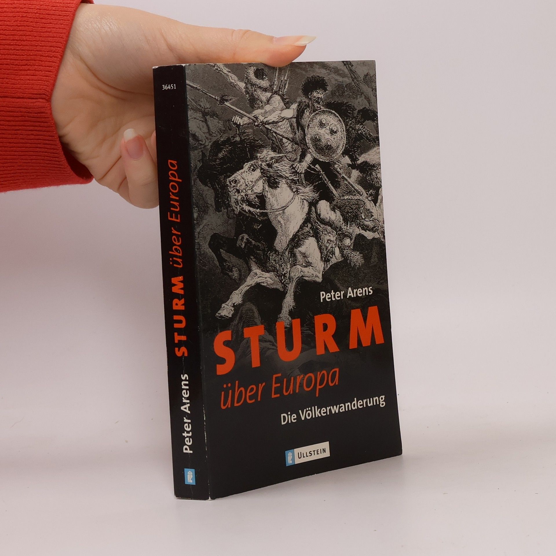 Peter Arens Sturm über Europa