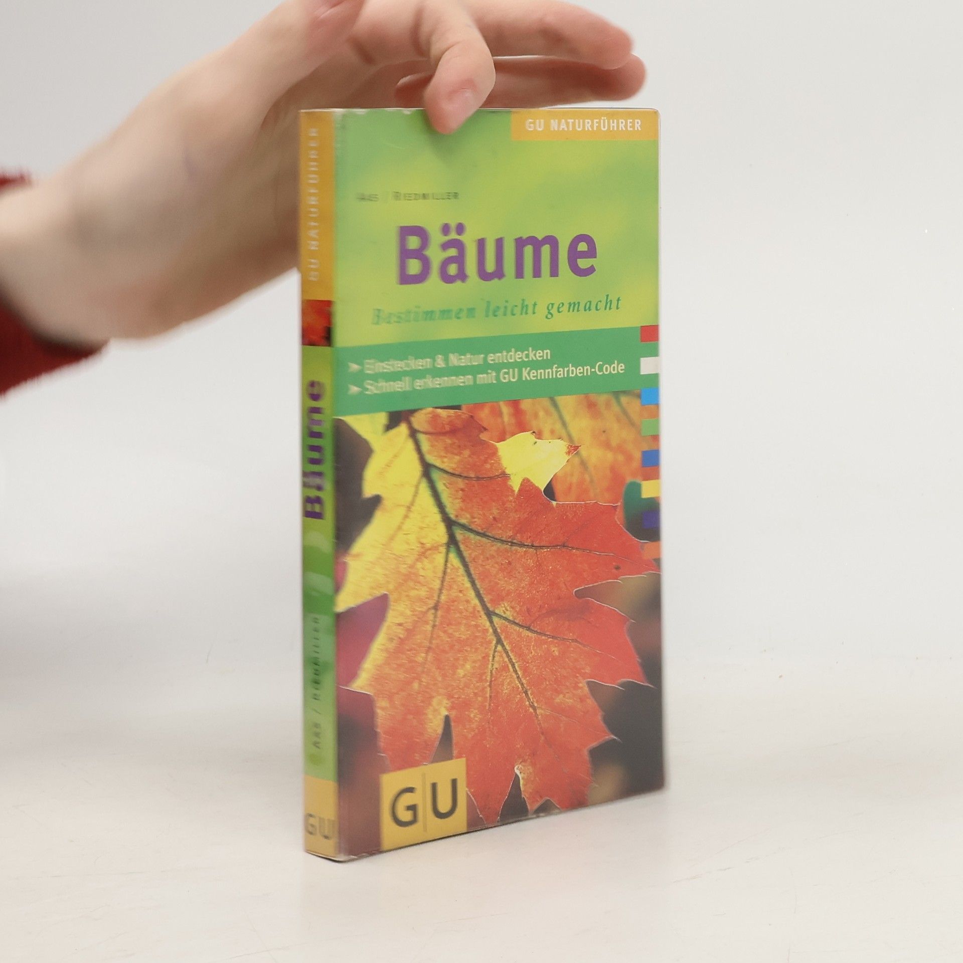 Bäume. Bestimmen leicht gemacht