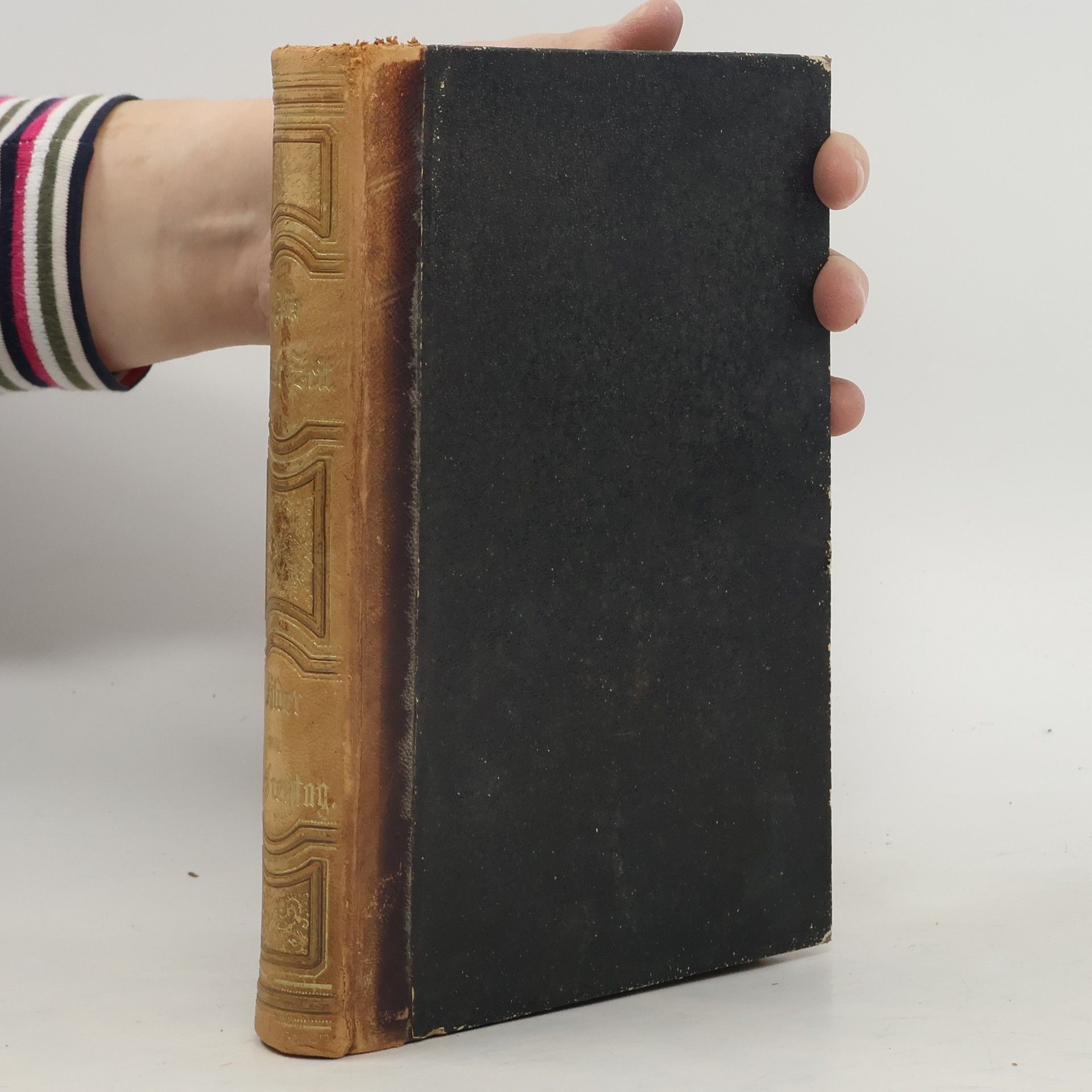 Gustav Freytag ilder aus der deutschen Vergangenheit 4