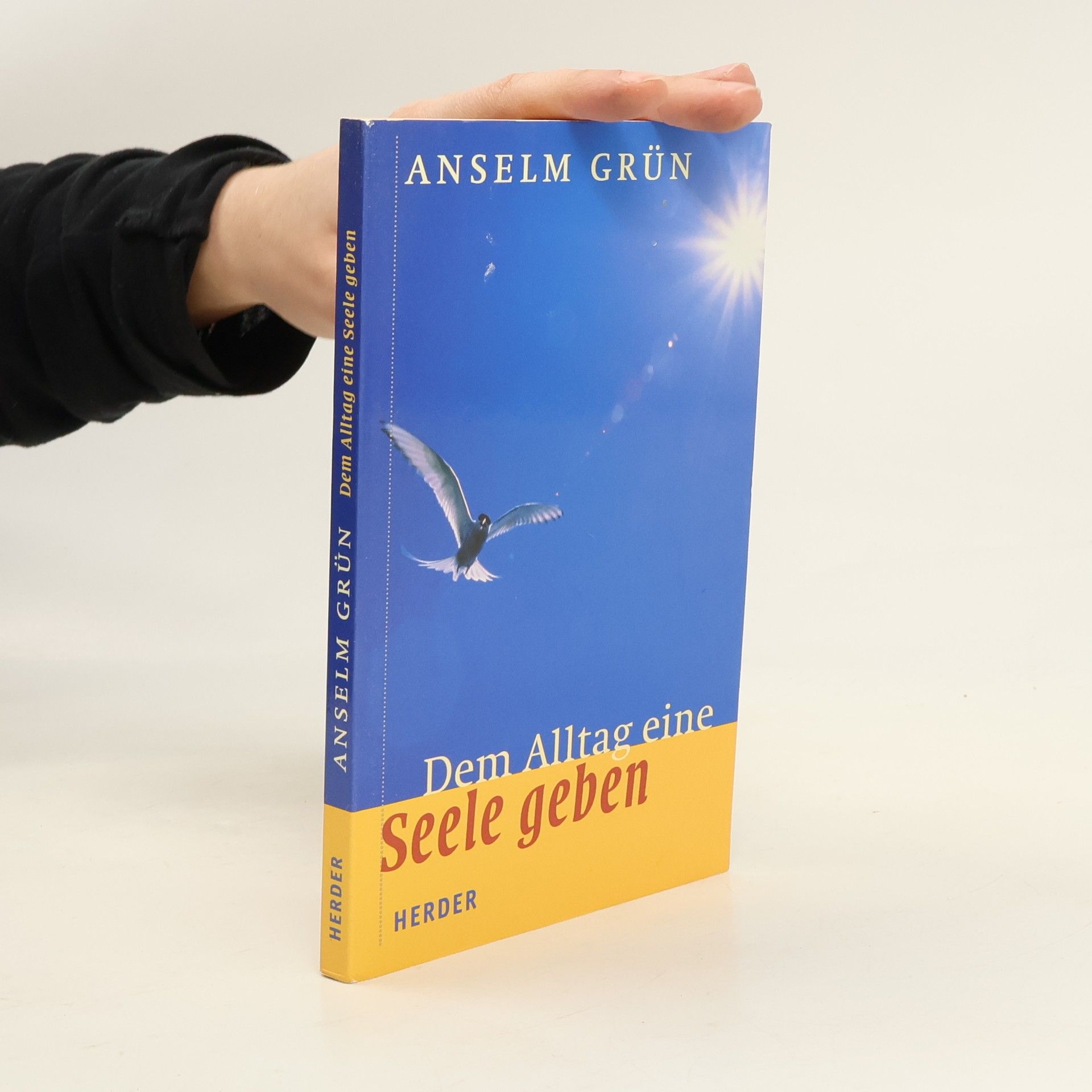 Anselm Grün Dem Alltag eine Seele geben