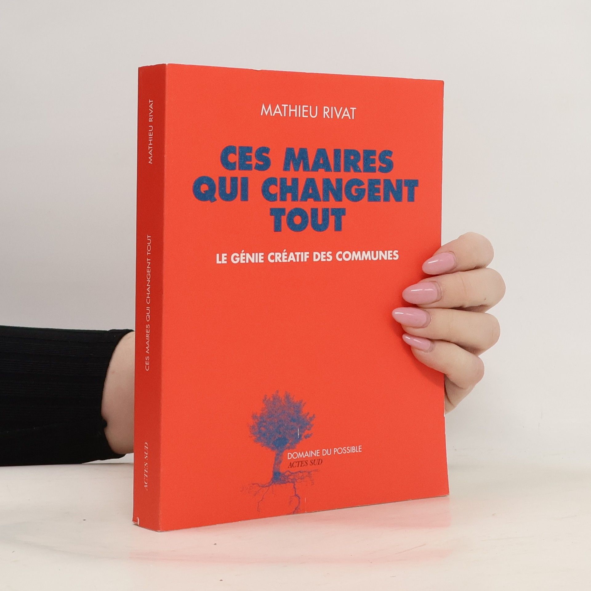 Mathieu Rivat Ces maires qui changent tout