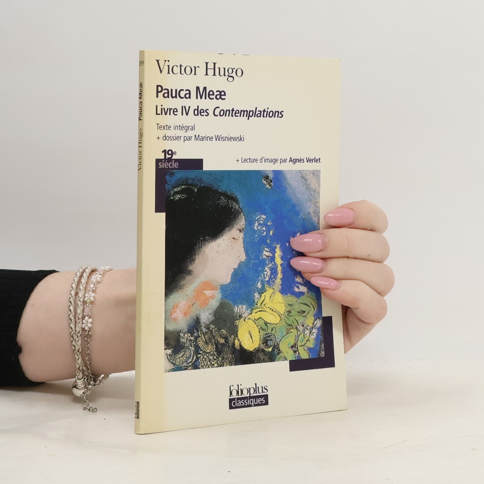 Les Contemplations - 4: Pauca Meæ