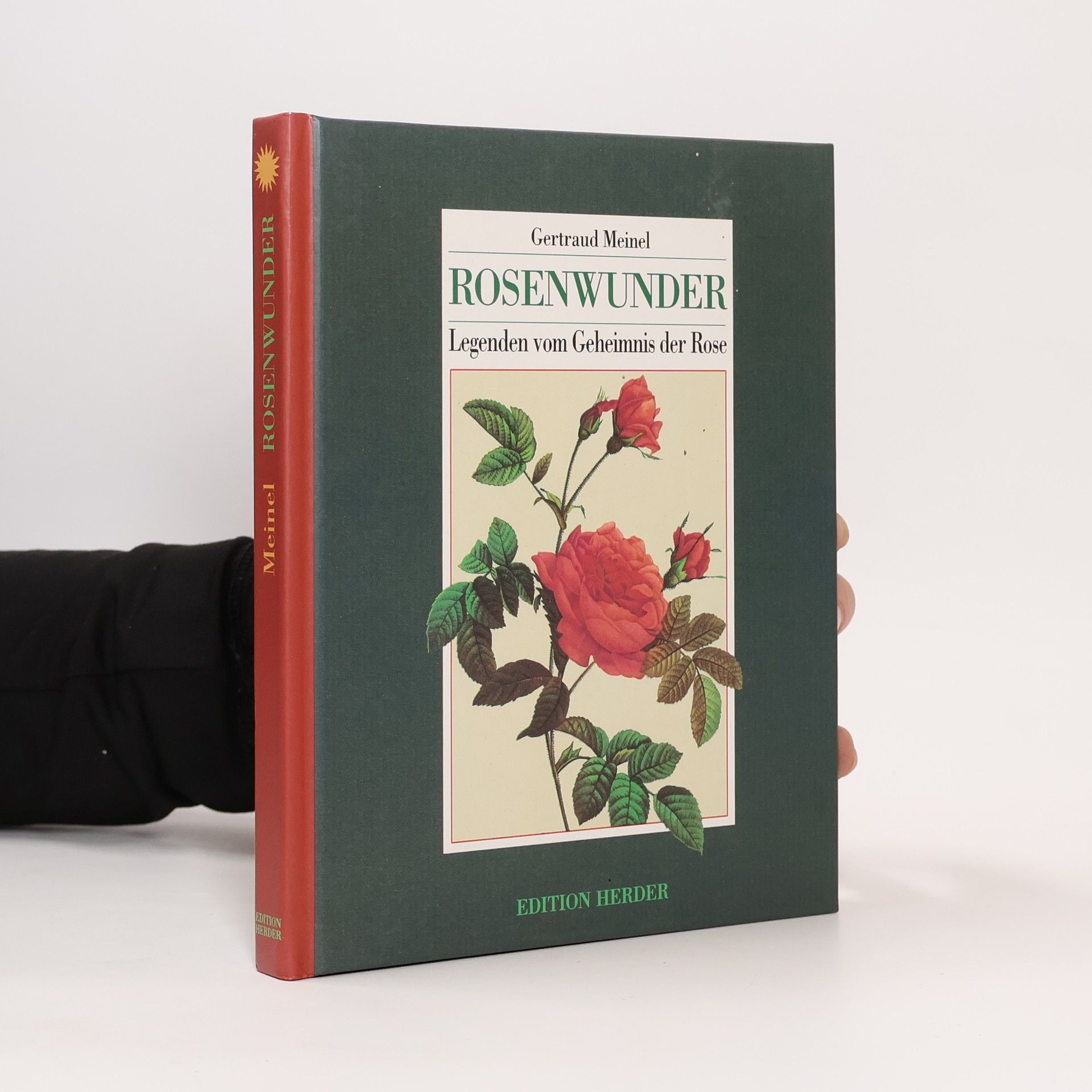 Gertraud Meinel Rosenwunder