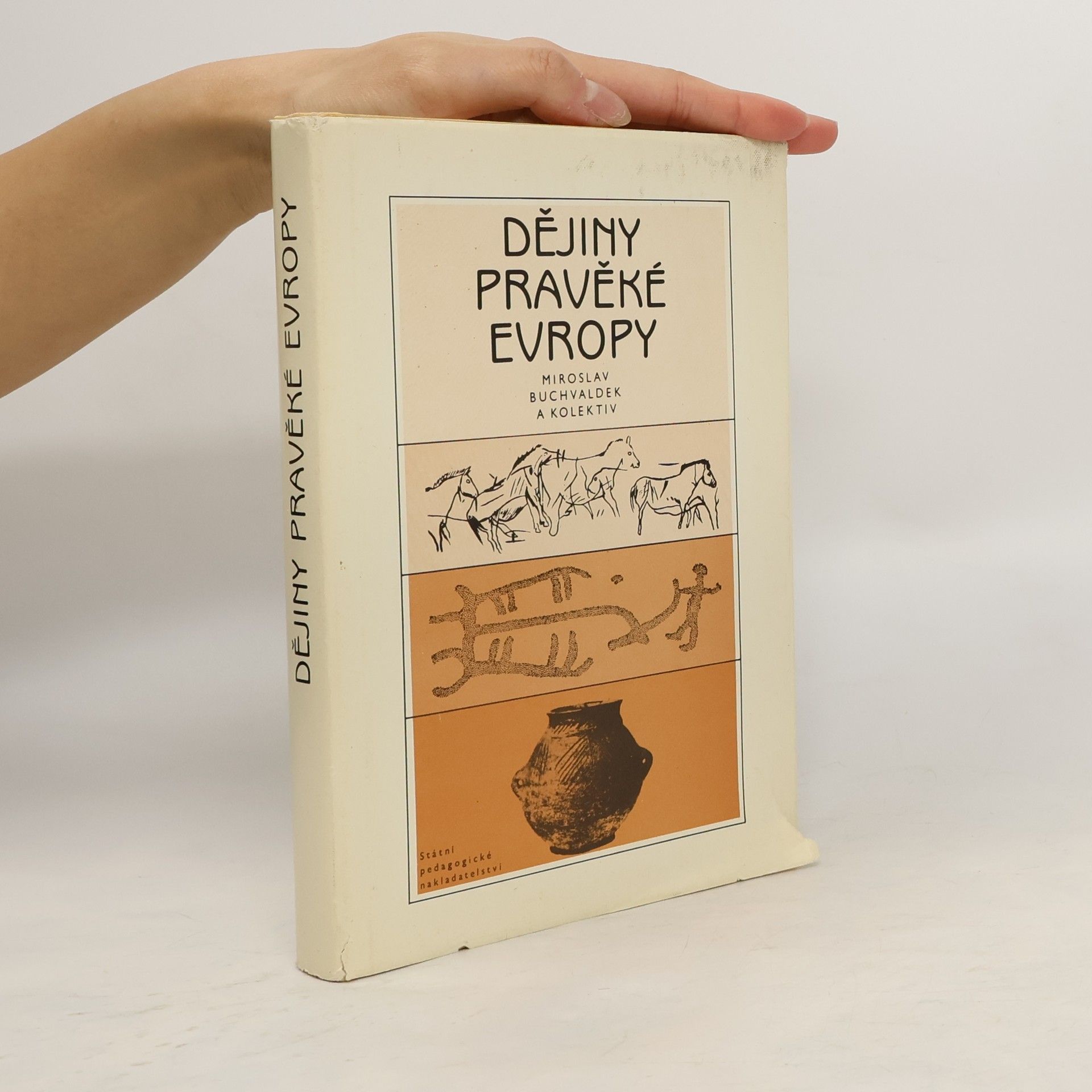 Miroslav Buchvaldek Dějiny pravěké Evropy