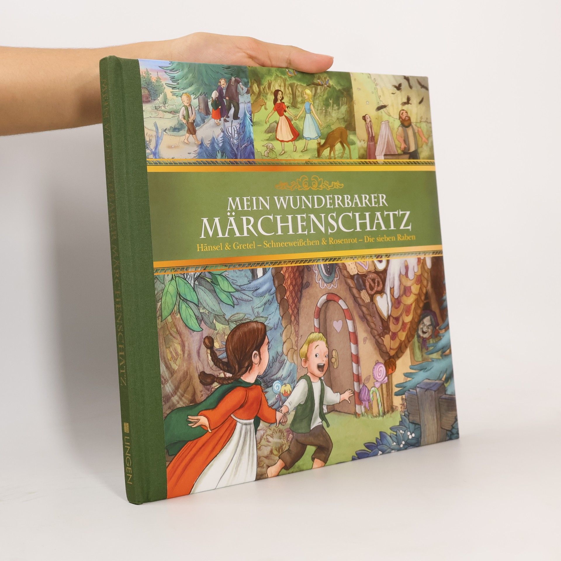 Kolektív autorov Mein Wunderbarer Märchenschatz