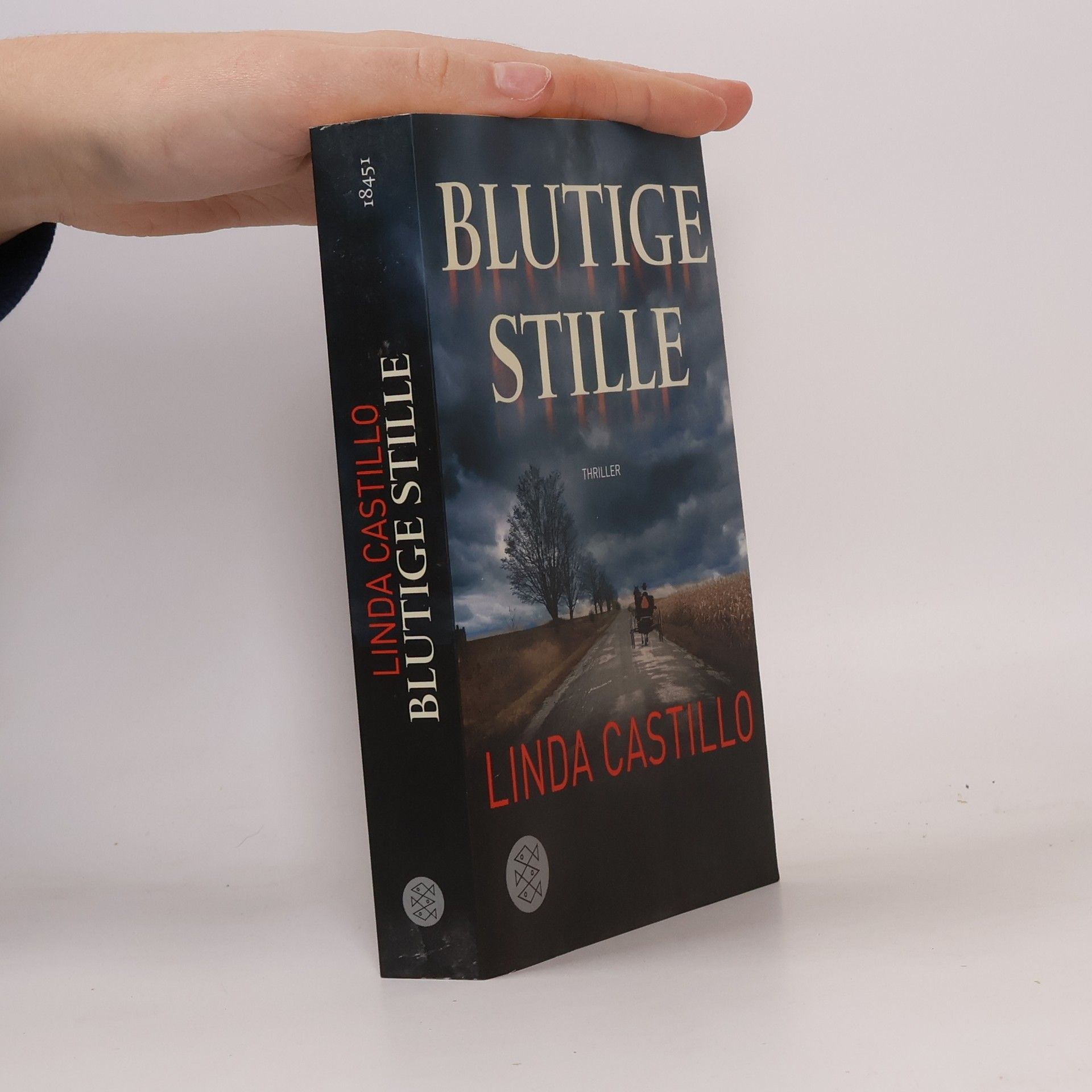 Linda Castillo Blutige Stille