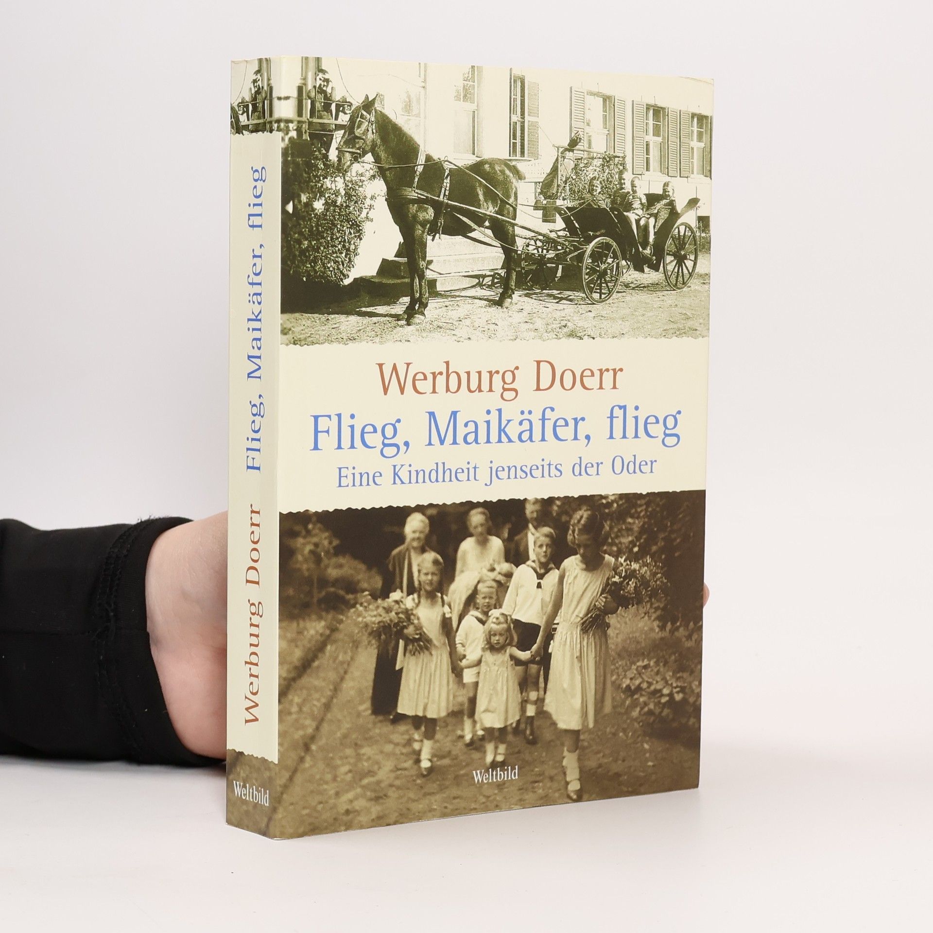 Flieg, Maikäfer, flieg