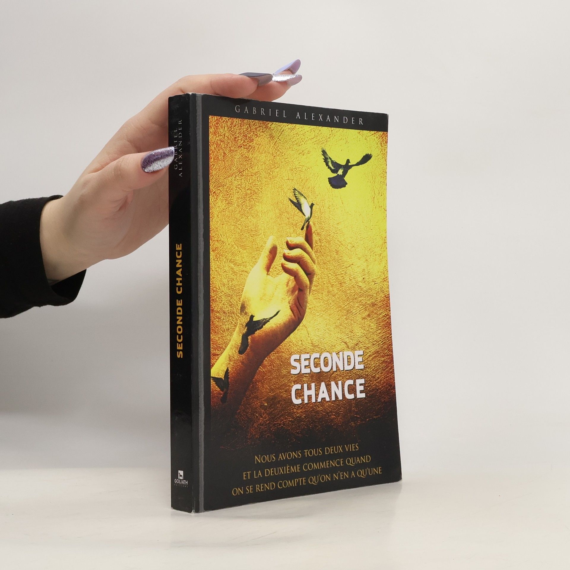 Gabriel Alexander Seconde Chance