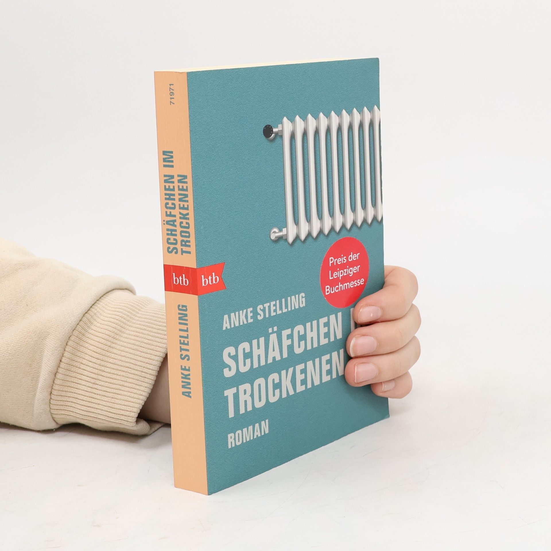 Anke Stelling Schäfchen im Trockenen