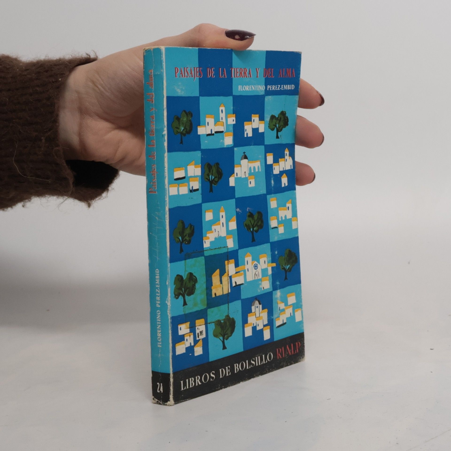Florentino Pérez-Embid Paisajes de la tierra y del alma