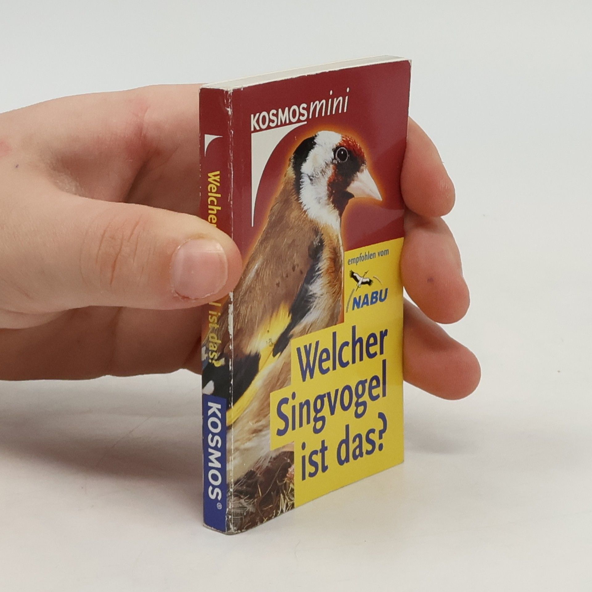 AA.VV. Welcher Singvogel ist das?