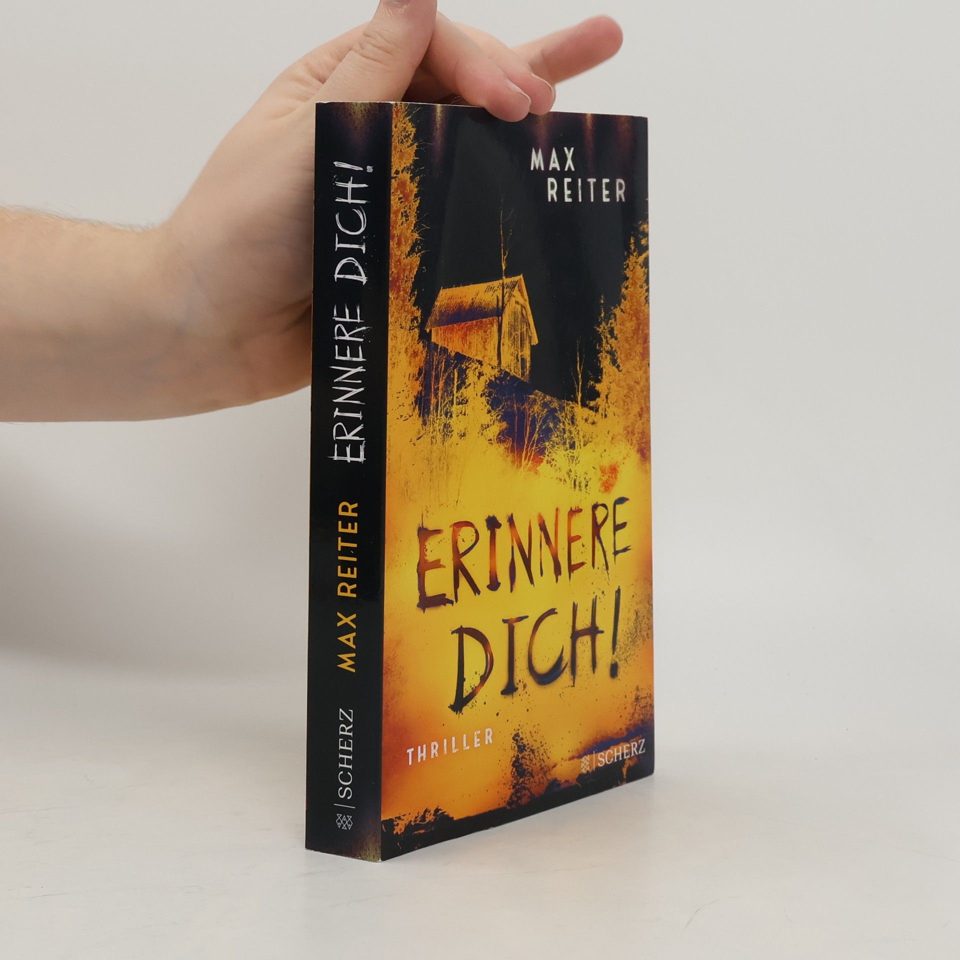 Max Reiter Erinnere dich!