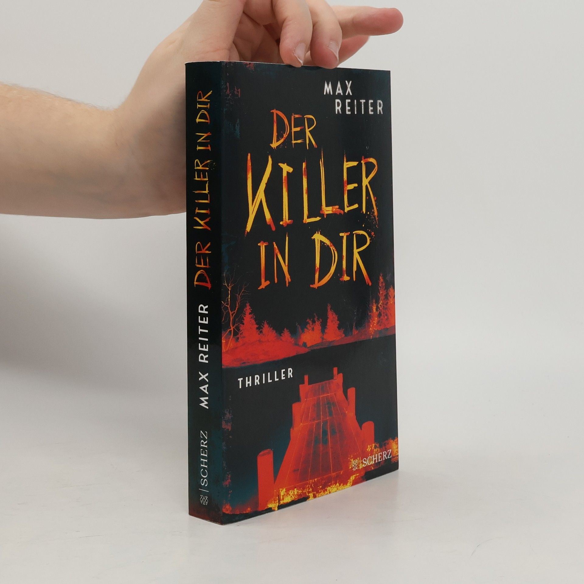 Max Reiter Der Killer in dir