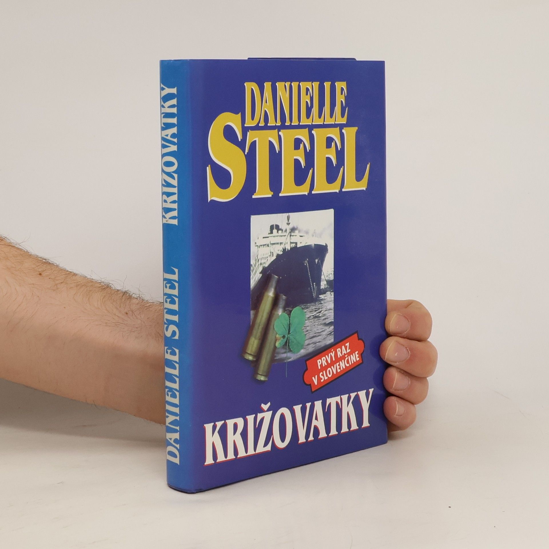 Danielle Steel Križovatky