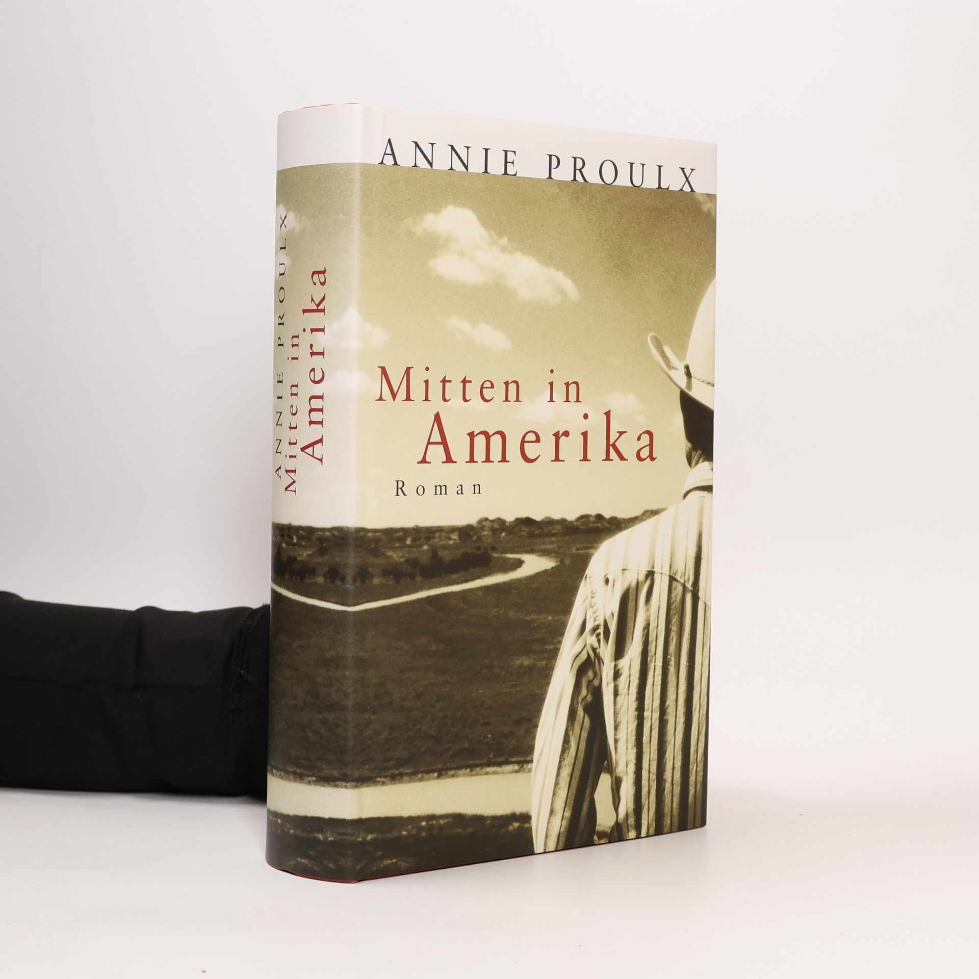 Annie Proulx Mitten in Amerika