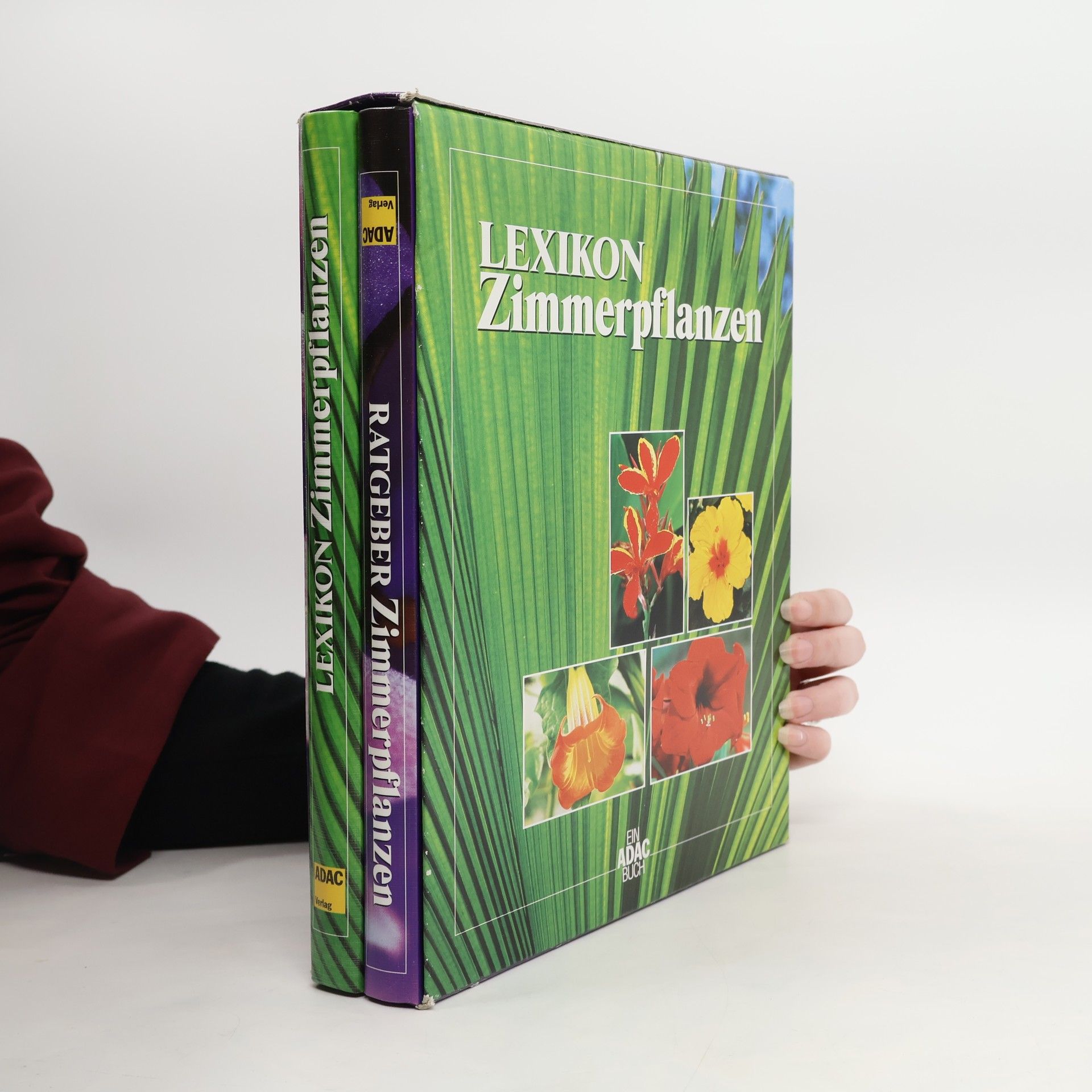 Ratgeber / Lexikon Zimmerpflanzen. Set.