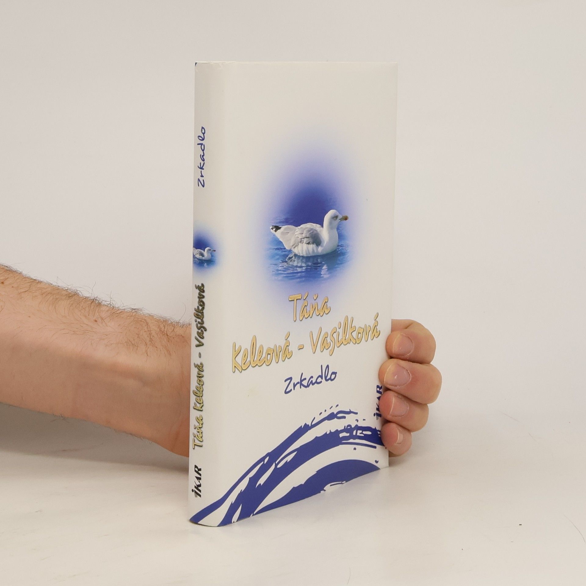 Táňa Keleová-Vasilková Zrkadlo