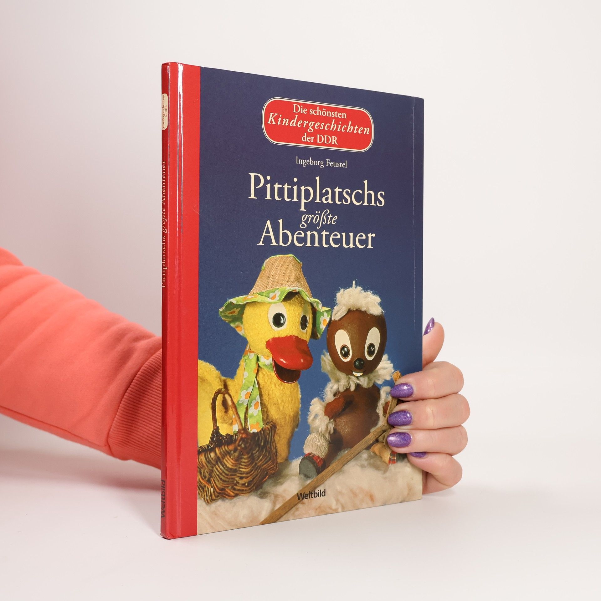 Pittiplatschs größte Abenteuer - Die schönsten Kindergeschichten der DDR