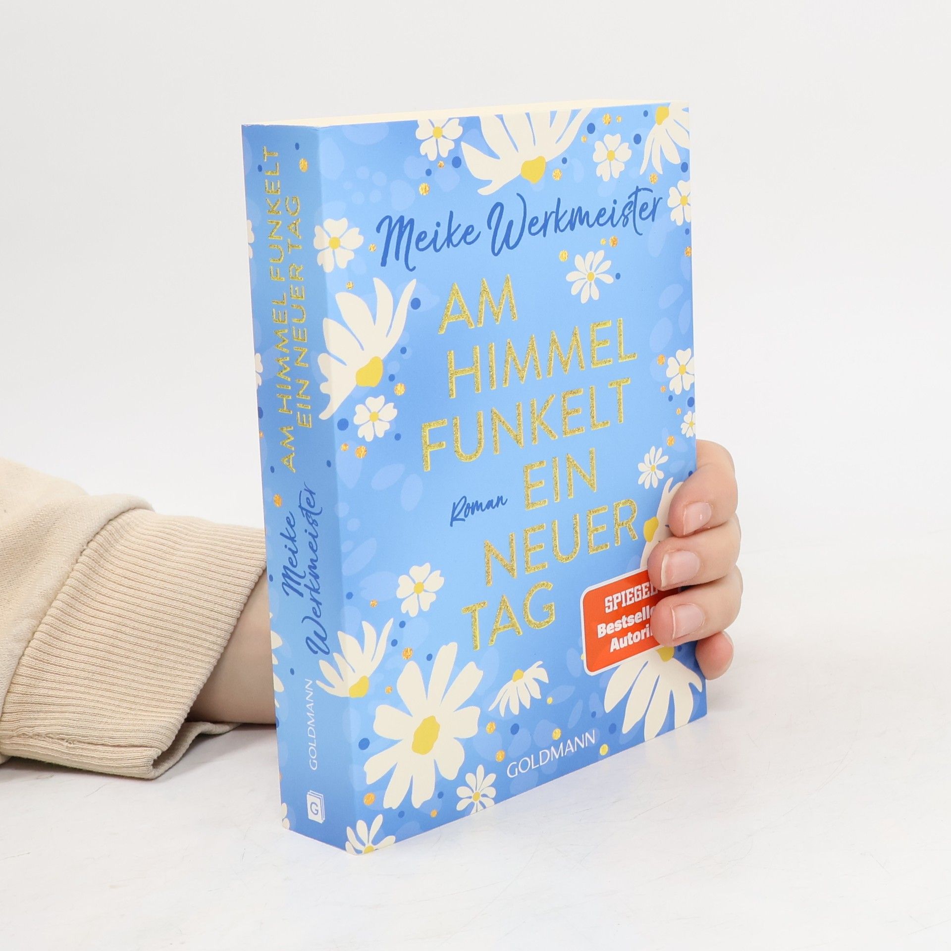 Meike Werkmeister Am Himmel funkelt ein neuer Tag