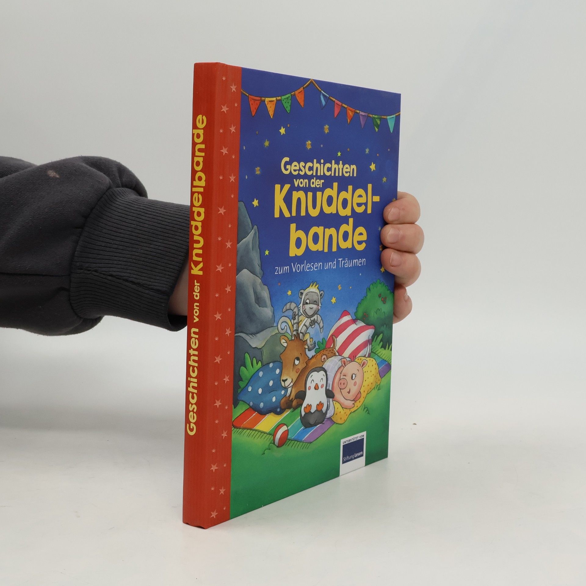 Henriette Wich Geschichten von der Knuddelbande