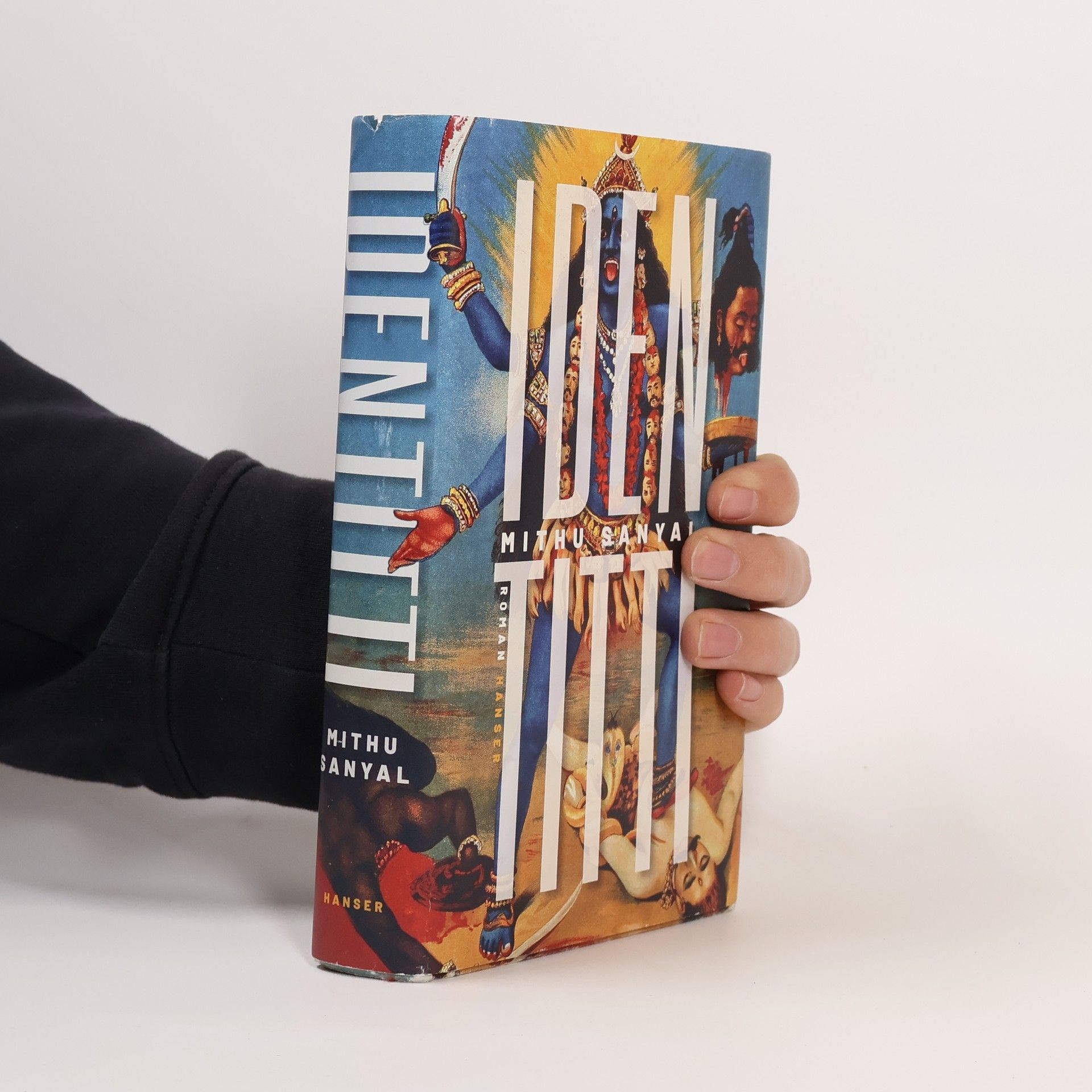 Mithu Sanyal Identitti : Roman