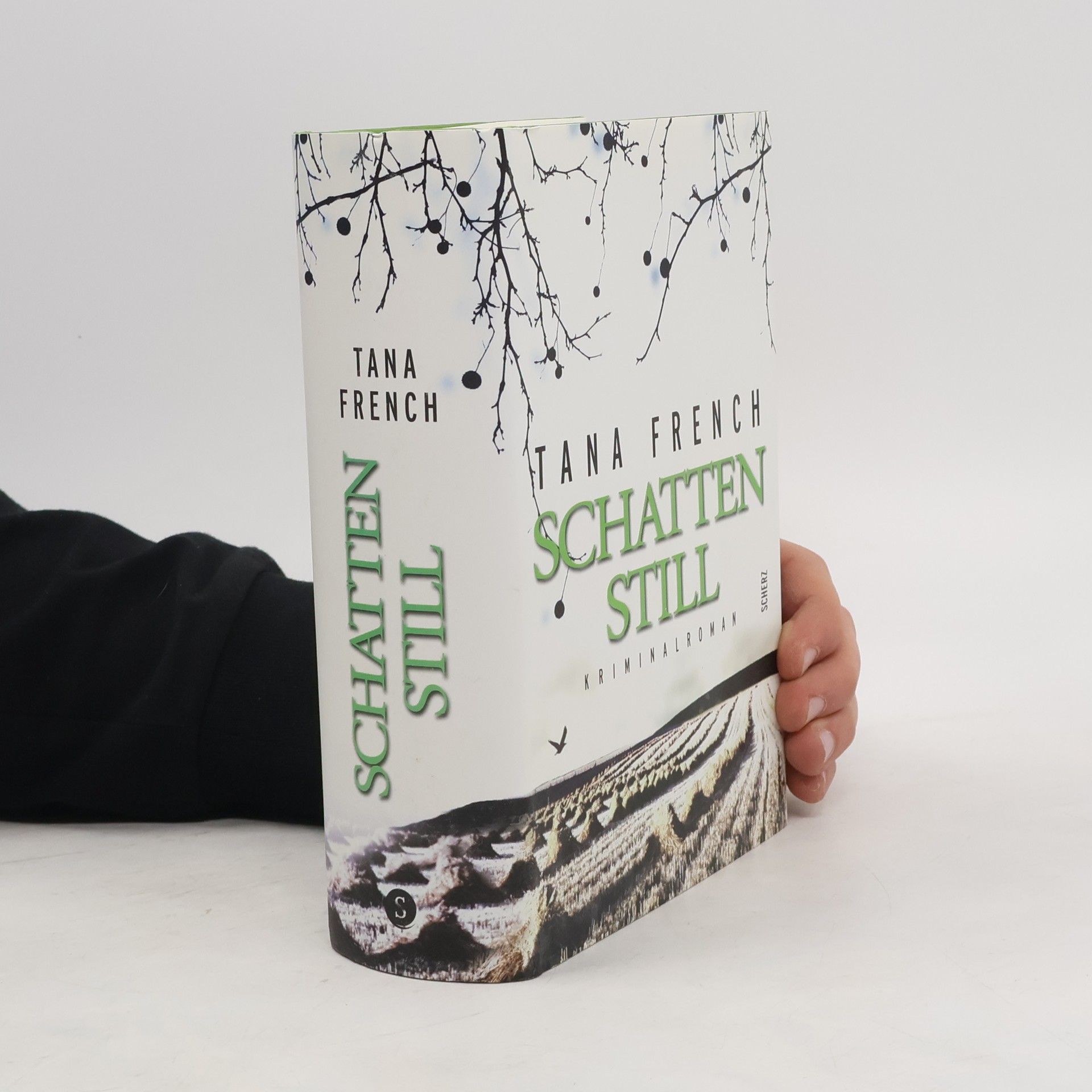 Tana Frenchová Schattenstill