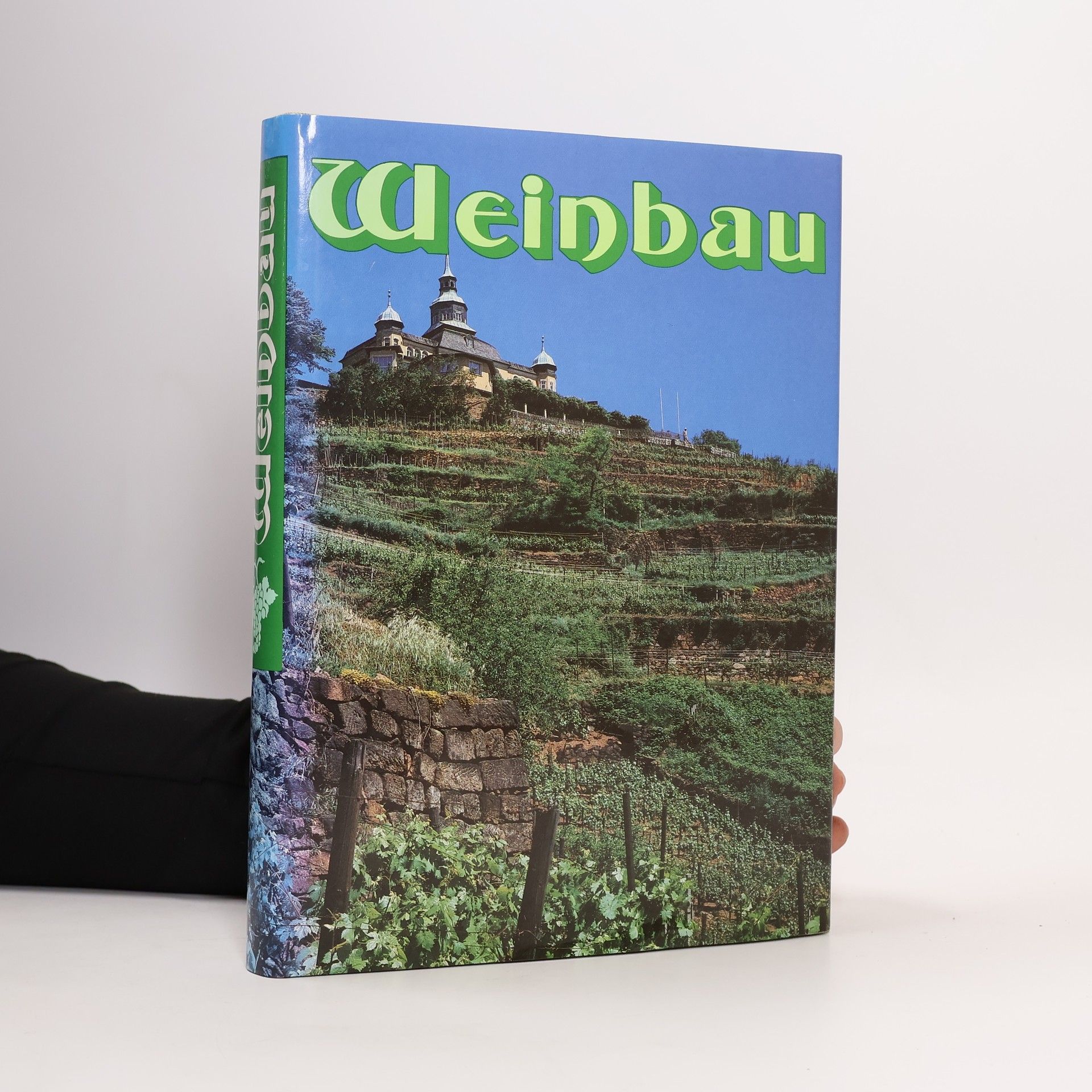 Ingeburg Borrmann Weinbau