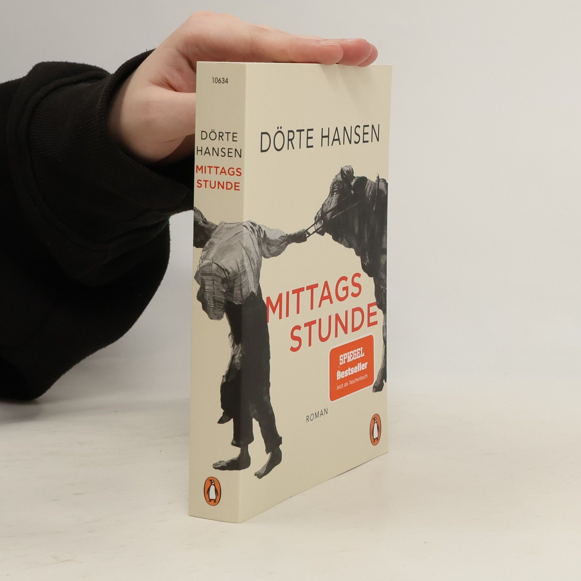 Dörte Hansen Mittagsstunde