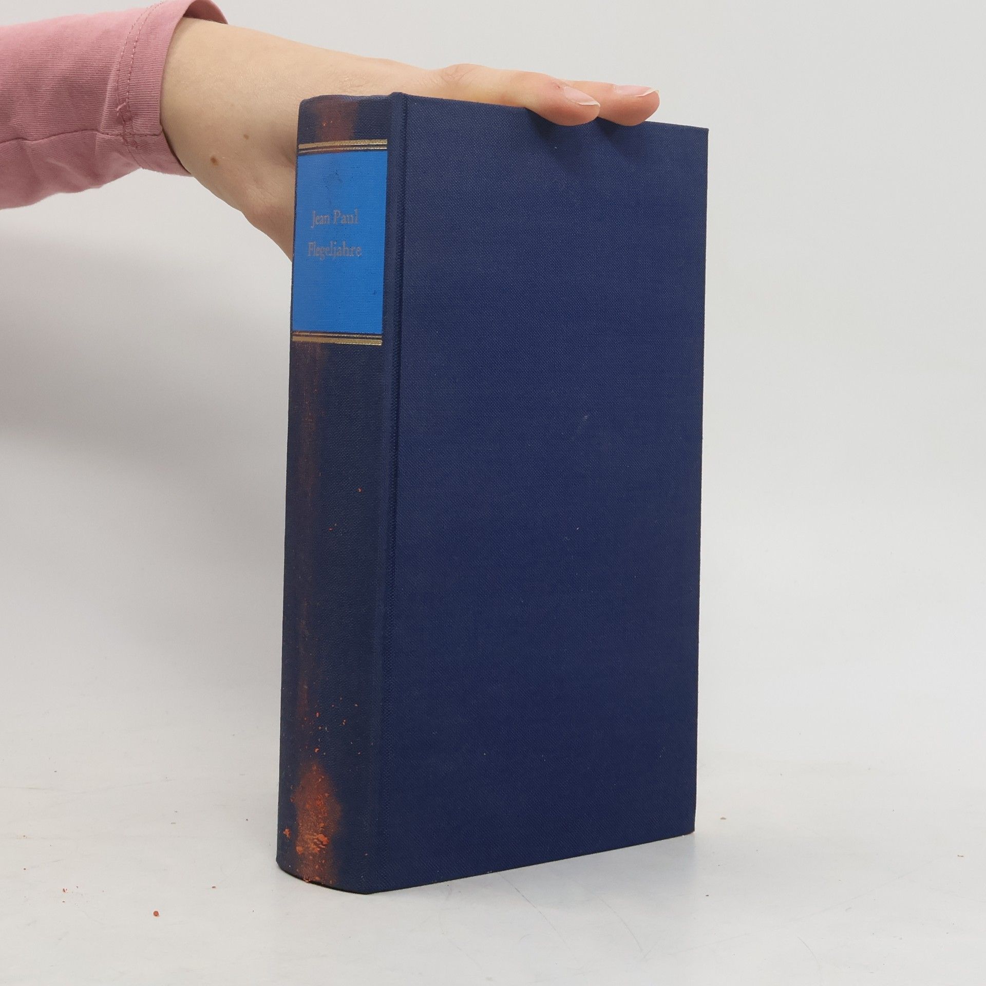 Flegeljahre. Eine Biographie