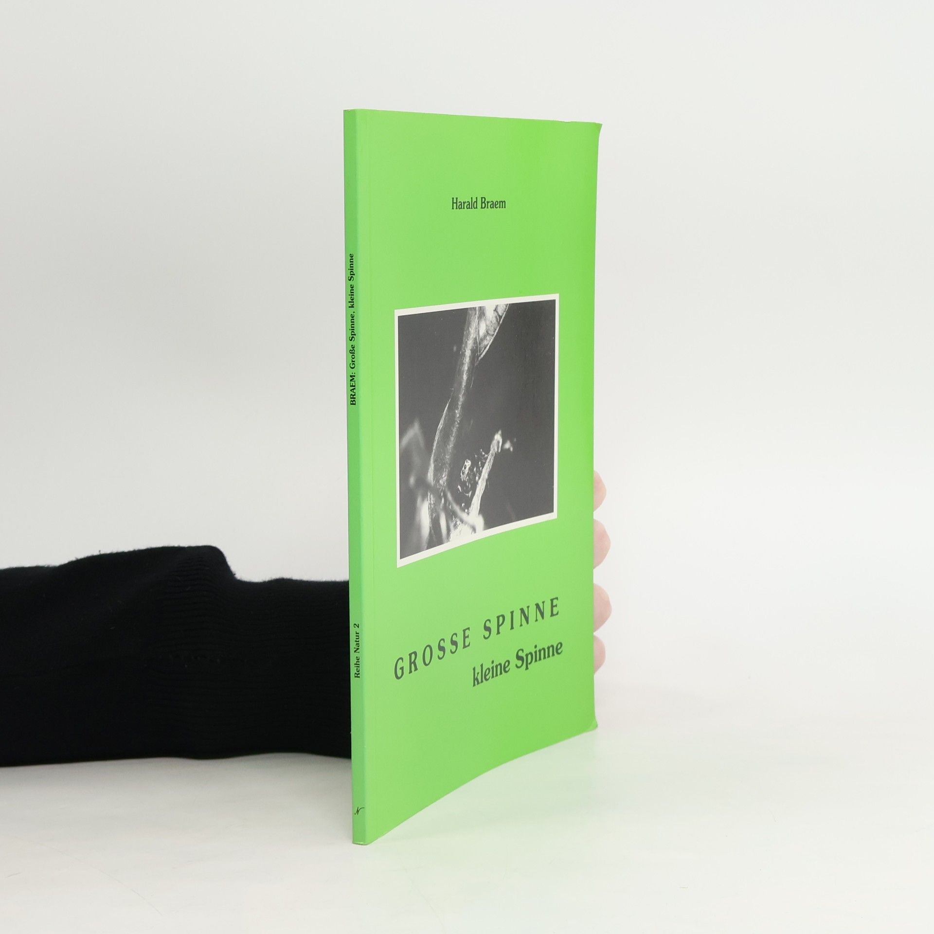 Harald Braem Grosse Spinne, kleine Spinne