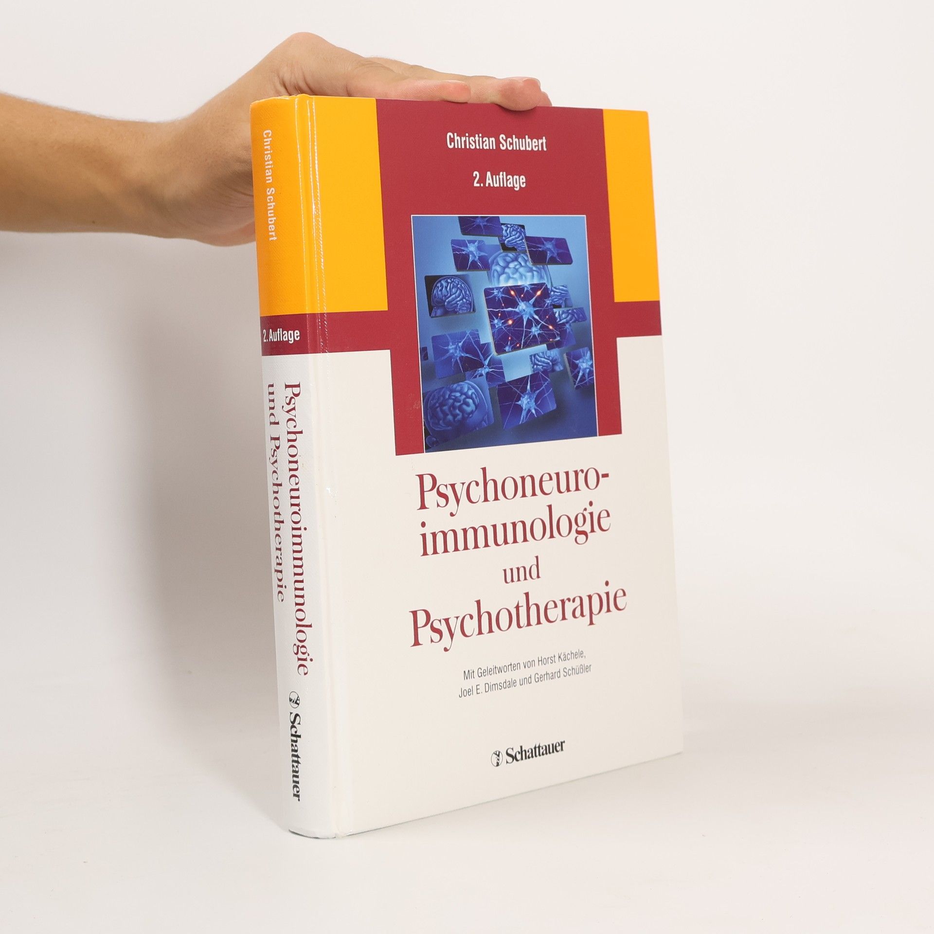 Psychoneuroimmunologie und Psychotherapie