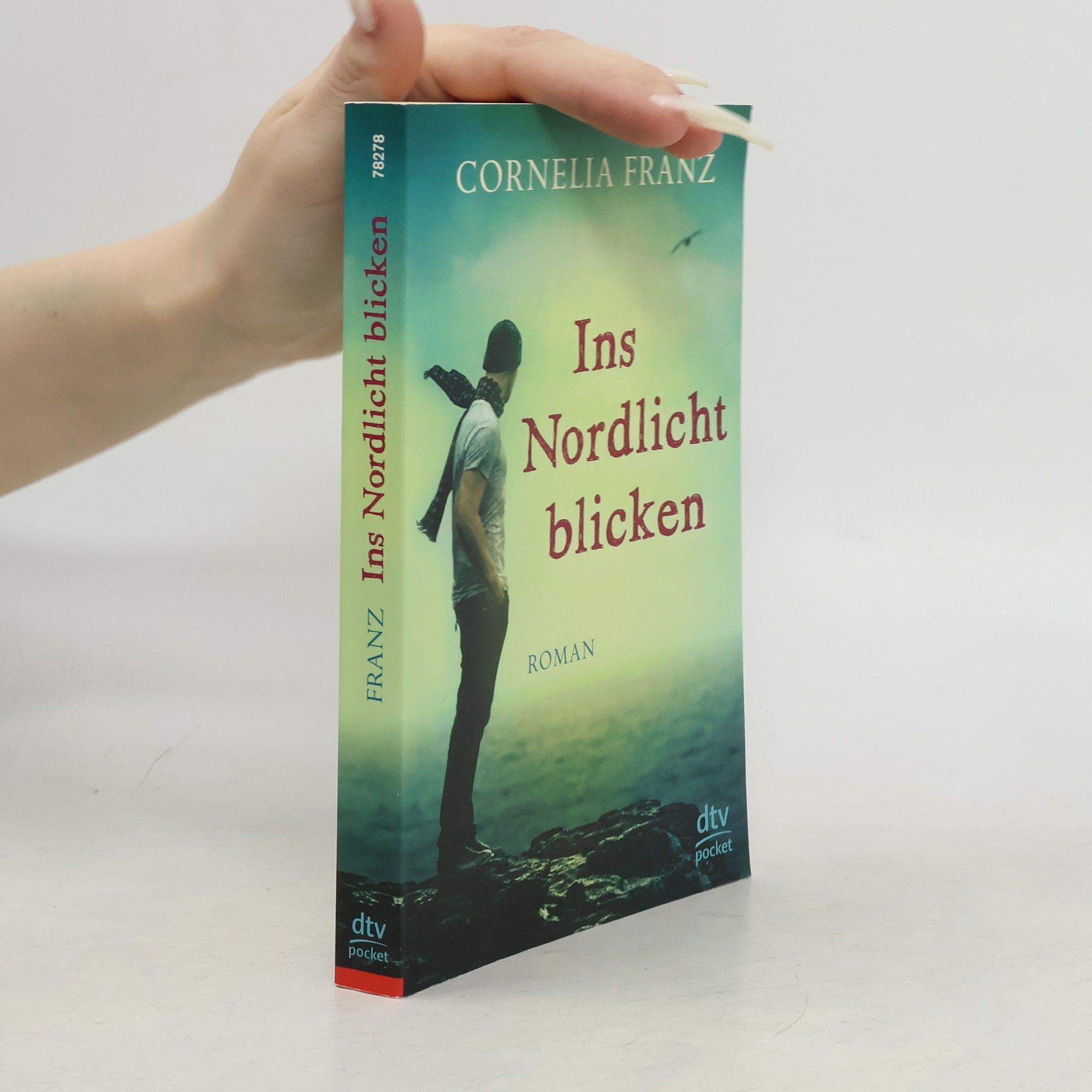 Cornelia Franz Ins Nordlicht blicken