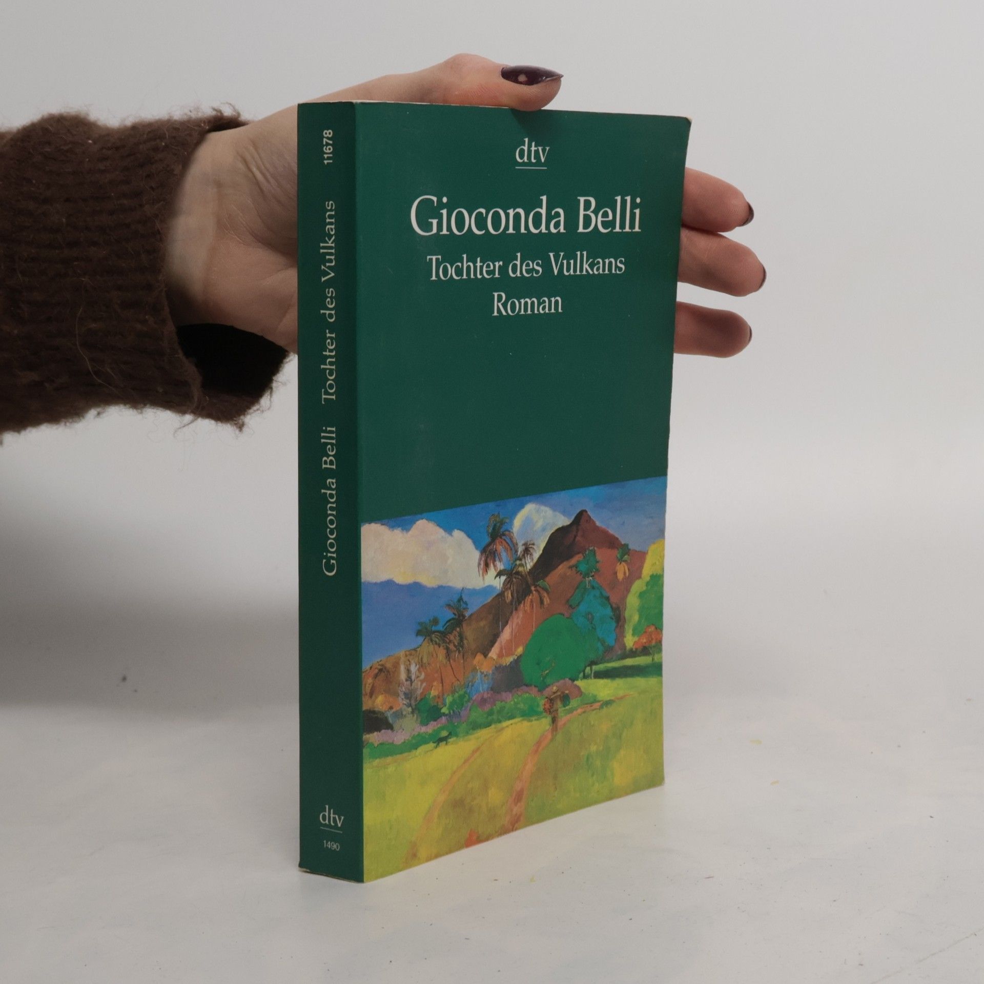 Gioconda Belli Tochter des Vulkans