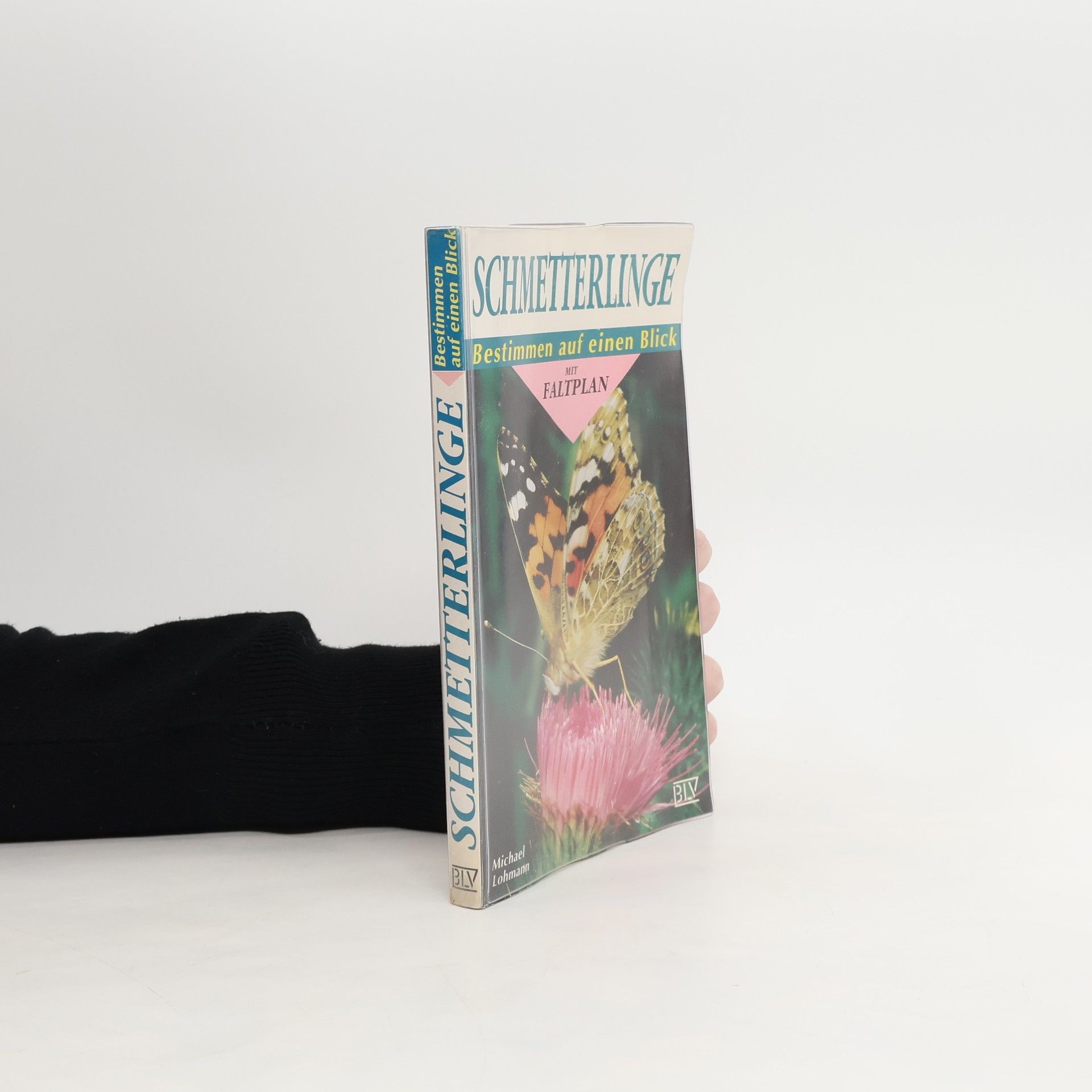 Michael Lohmann Schmetterlinge