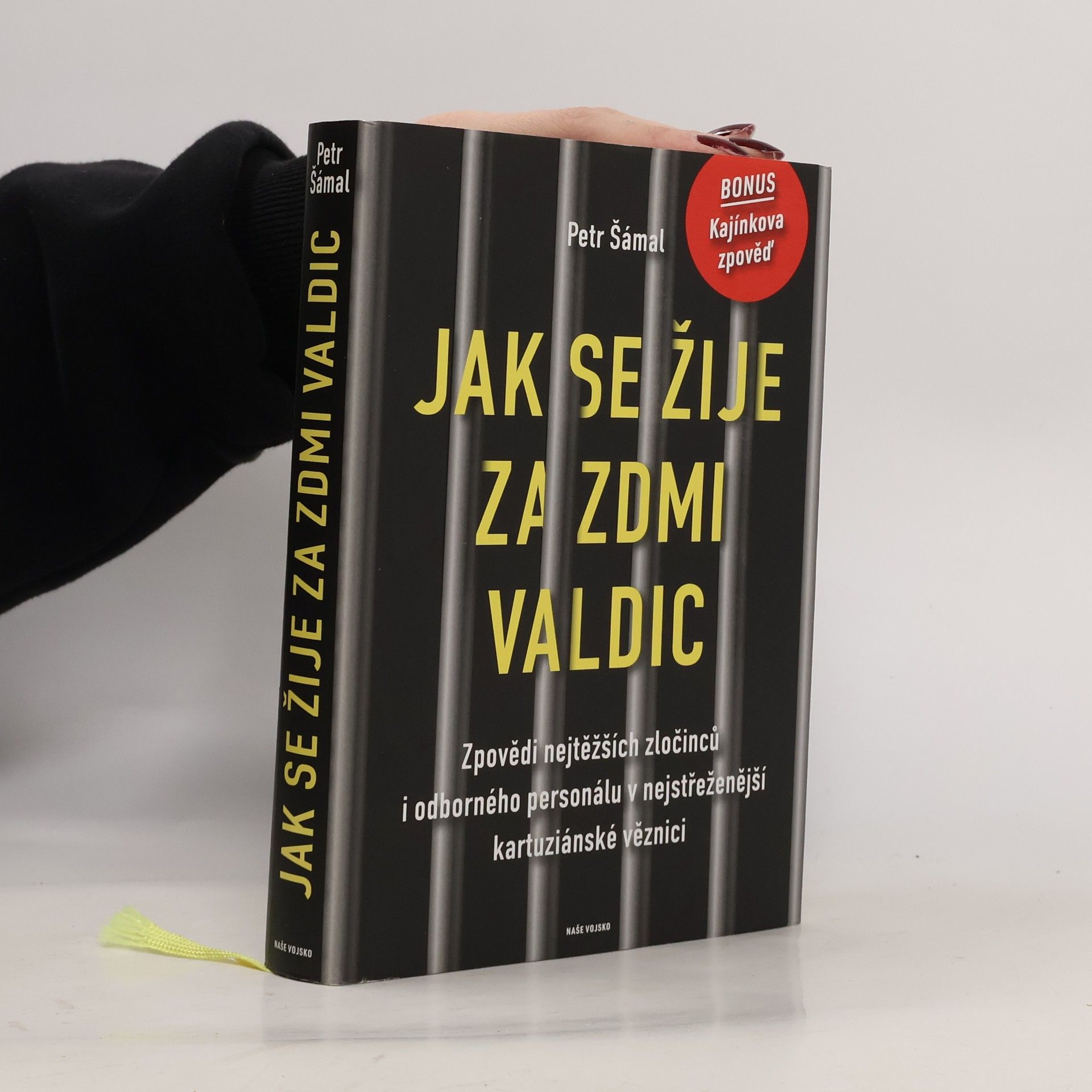 Petr Šámal Jak se žije za zdmi Valdic: Zpovědi nejtěžších zločinců i odborného personálu v nejstřeženější kartuziánské věznici
