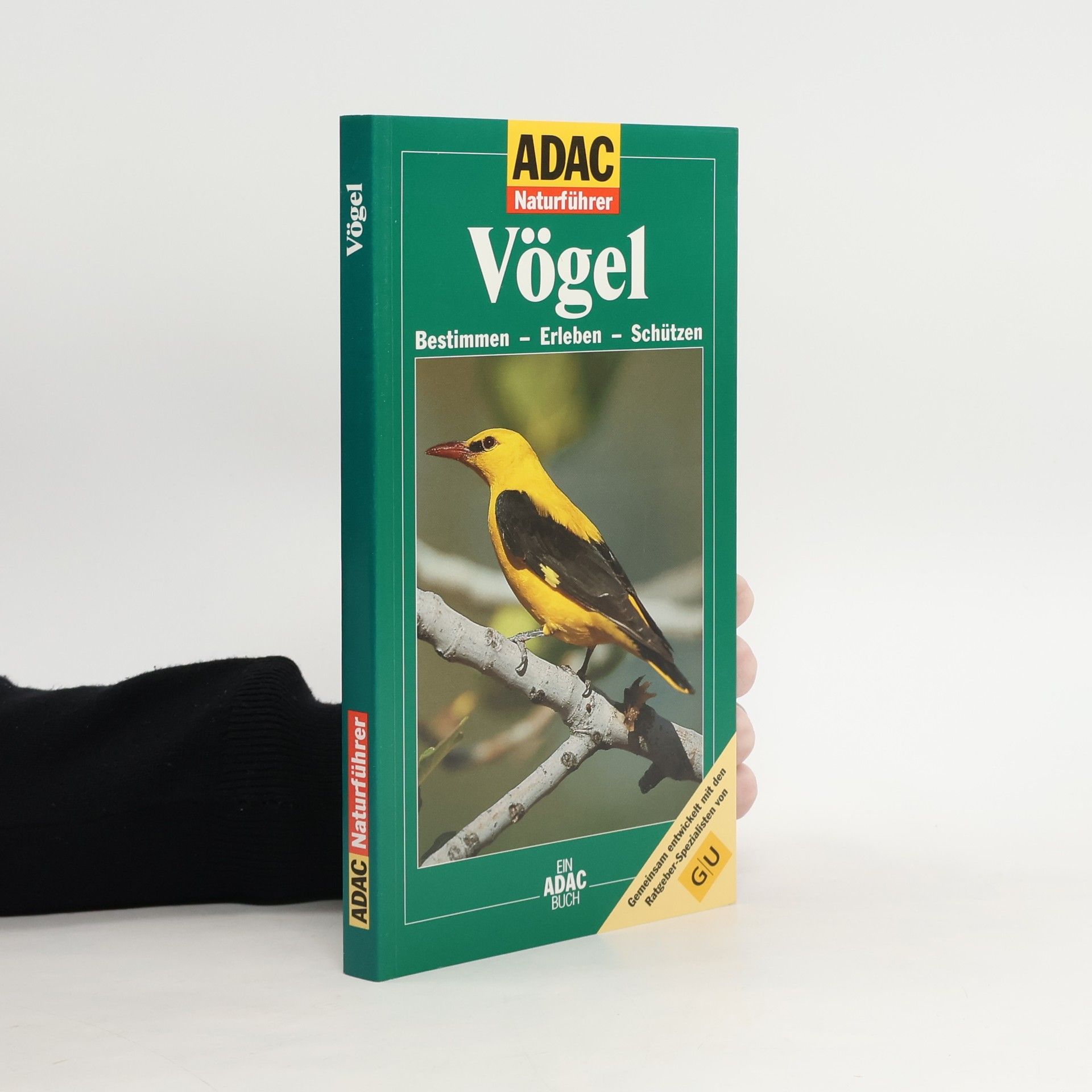 Vögel