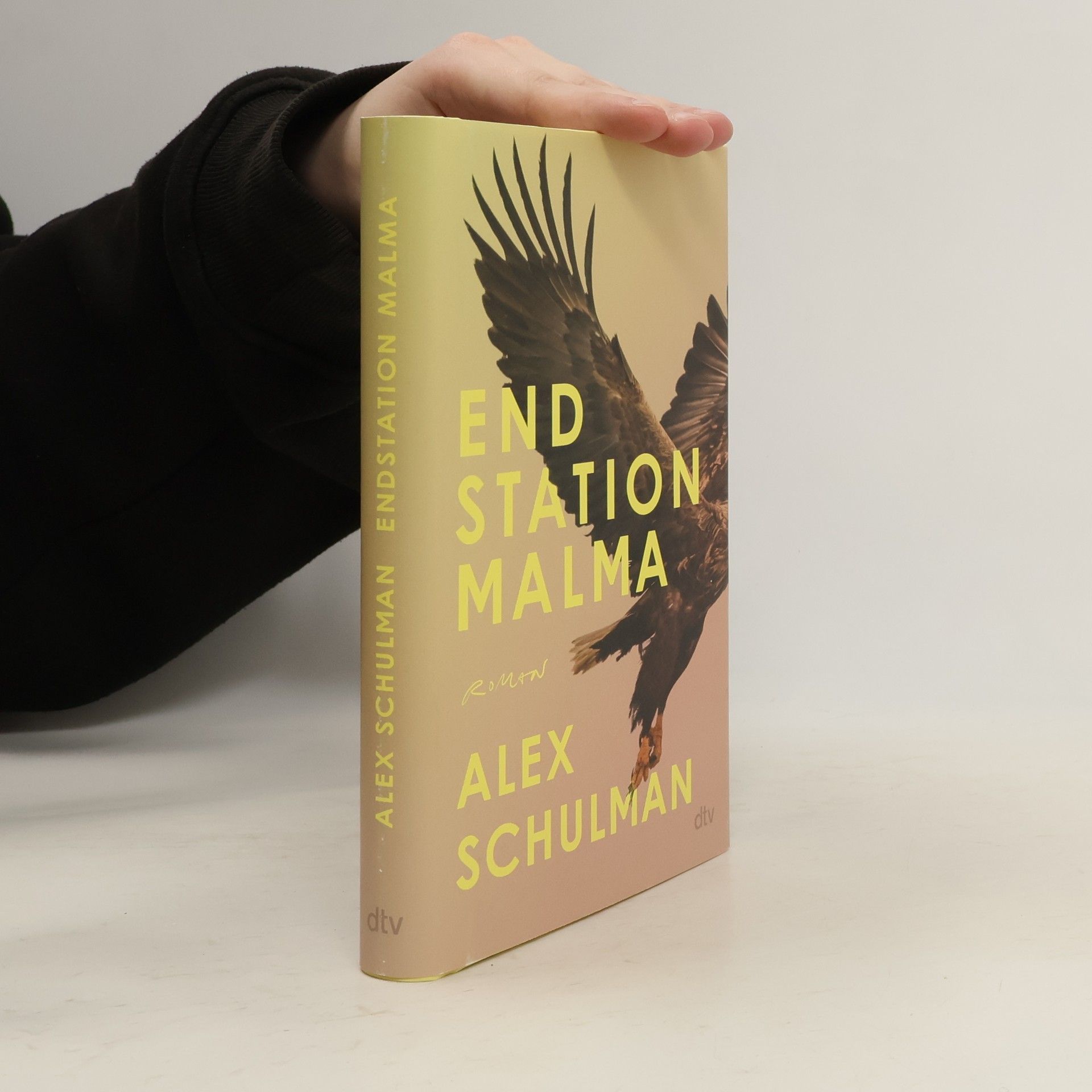 Alex Schulman Endstation Malma